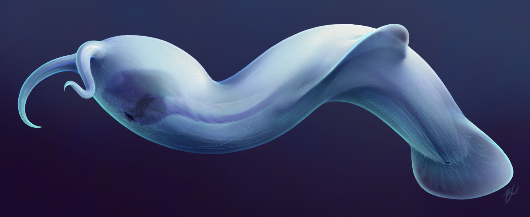 Ammy Banner.jpg