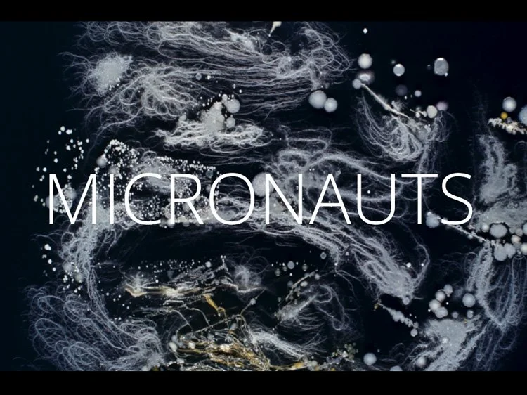 Micronauts: A Documentary on the Beauty of Bacteria