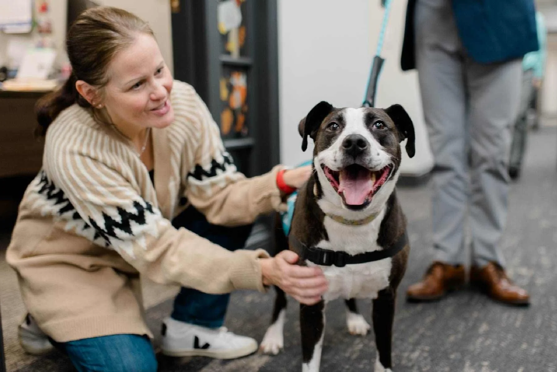 All Service Animals Understanding Service Animals & ADA Compliance — Woods Fuller