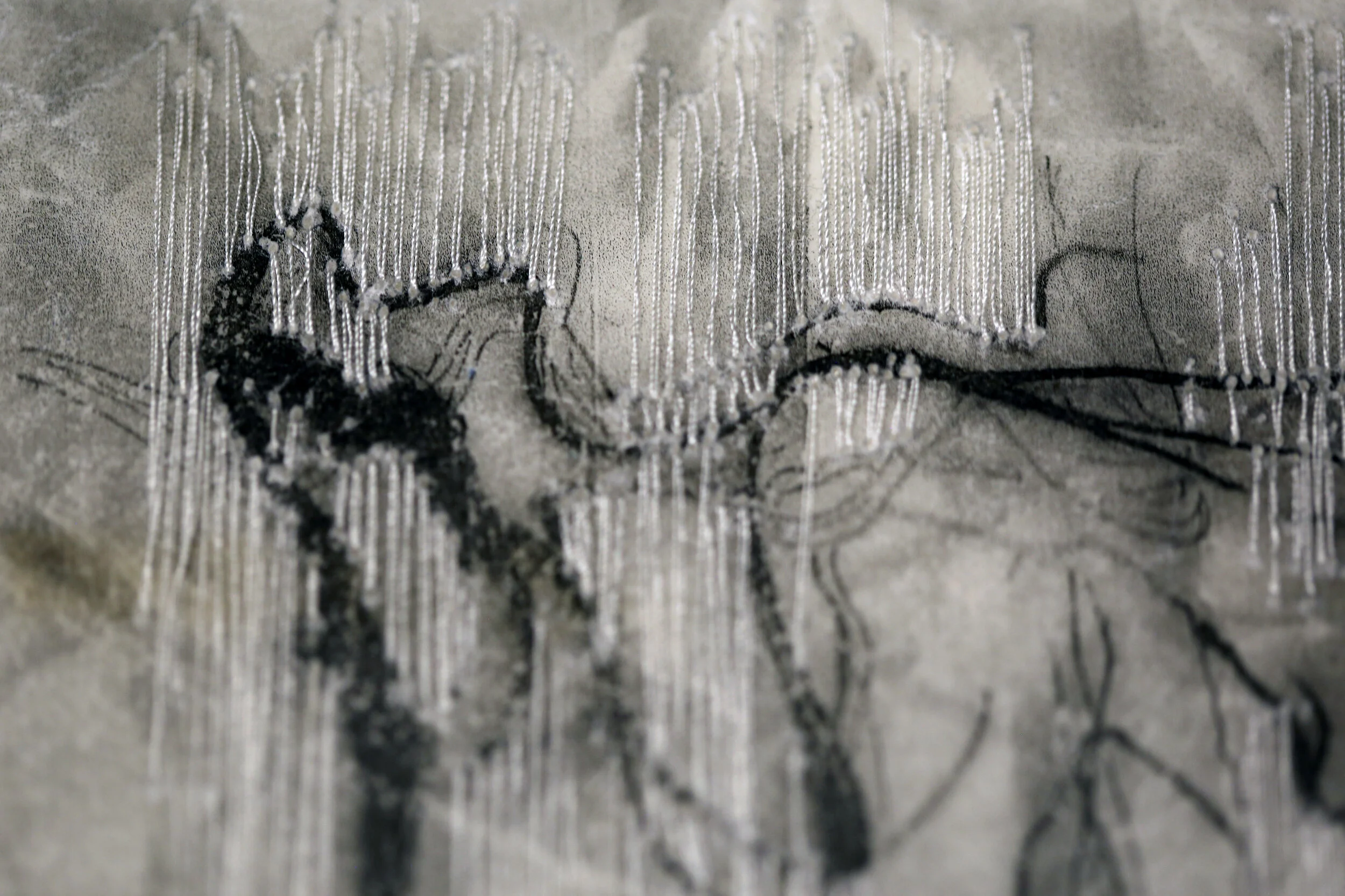 00 IMG_1134 abstract landscape.JPG