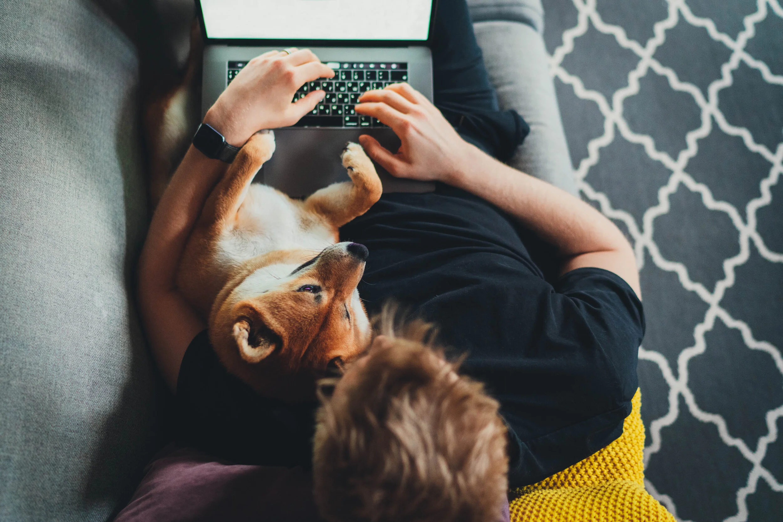 reclining (wfh pt 2).jpeg