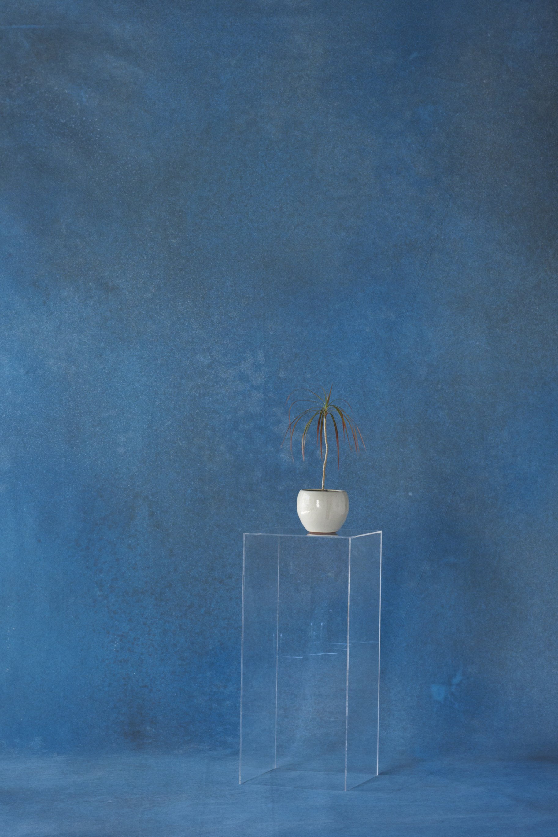 LCO02_TH_Drop_06_015.jpg
