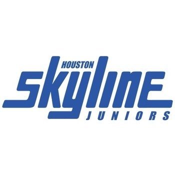 Houston Skyline Juniors Volleyball.jpeg
