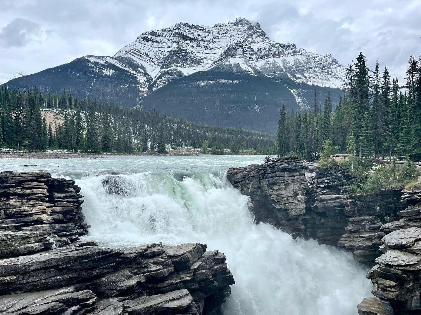 Day 8-10: Jasper National Park

This was probably my favorite, especially the Icefields Parkway. The last picture is snow in June. ❄️

#jaspernationalpark #jasperalberta #albertacanada #icefieldsparkway