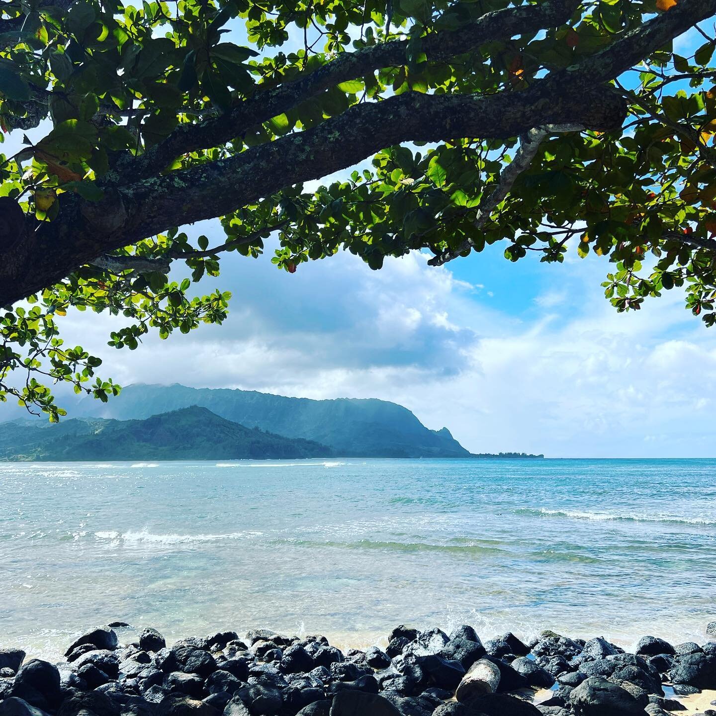 ✨1 Hotel Hanalei Bay✨

We loved our stay earlier this week at the fabulous @1hotel.hanaleibay !

Having just debuted in February after a $300 million complete transformation, this stunning property on Kauai&rsquo;s north shore will leave you wanting 