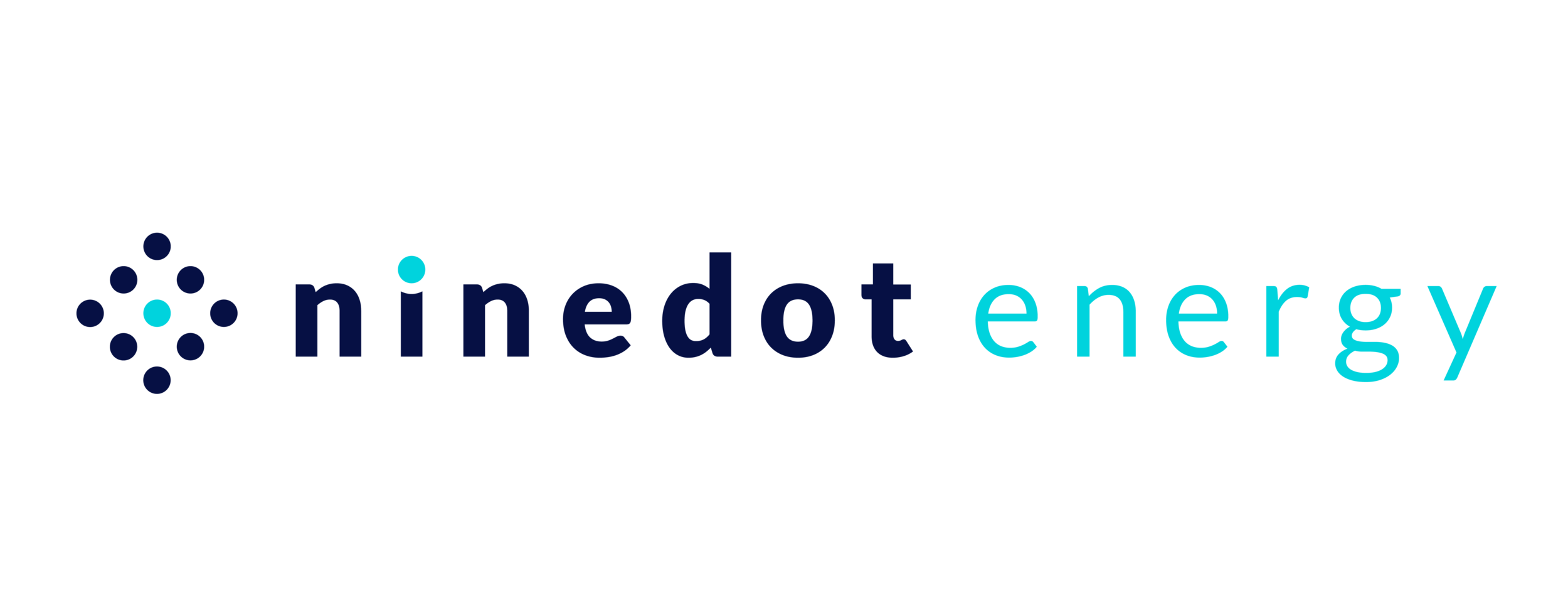 ninedotenergylogo - David Arfin.png