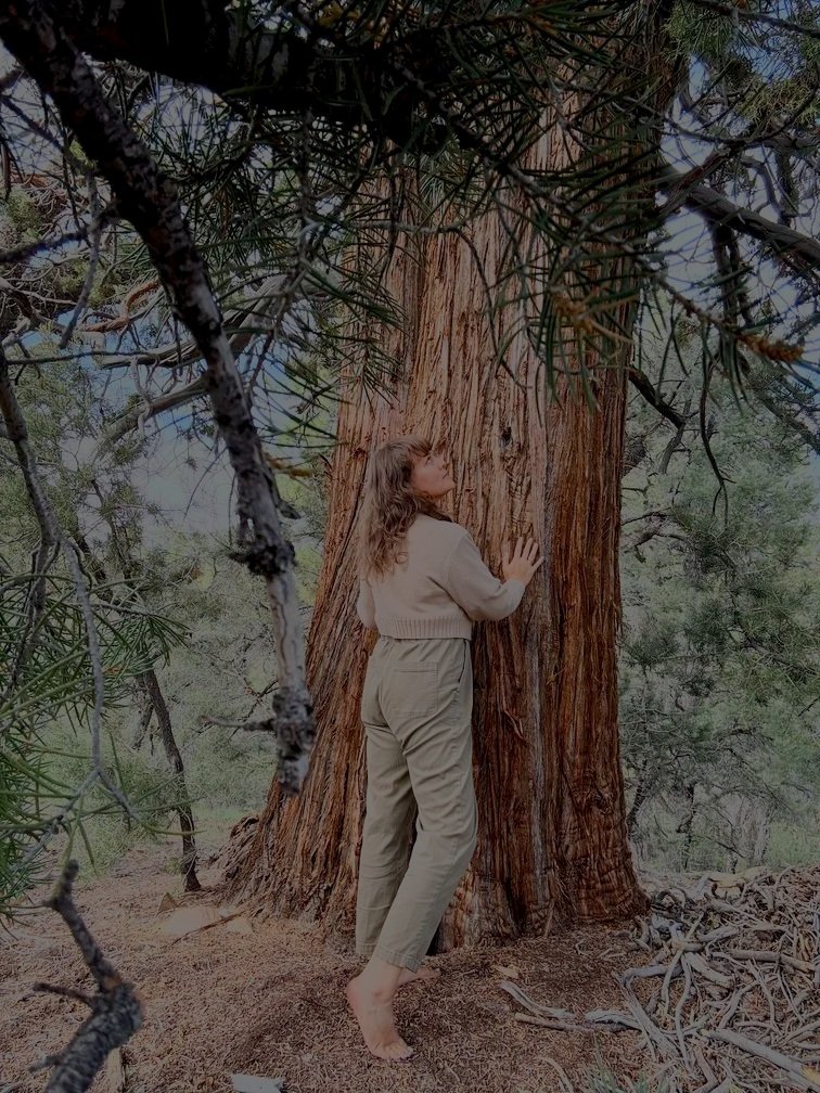 A woman hugging a large tree trunk in a forest setting.