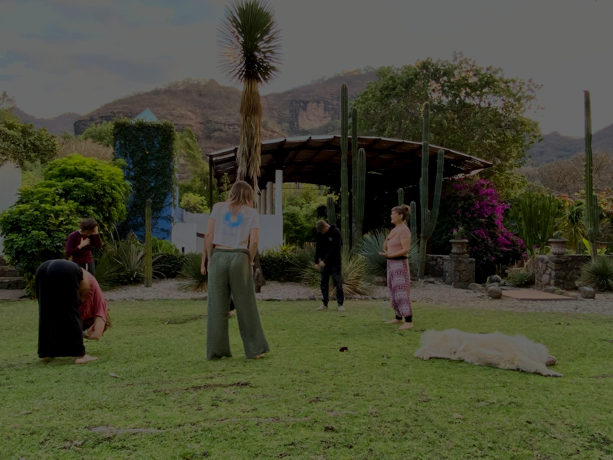 Group of people in a lush outdoor garden setting, some standing and others sitting, with large cacti, trees, and mountainous landscape in the background.