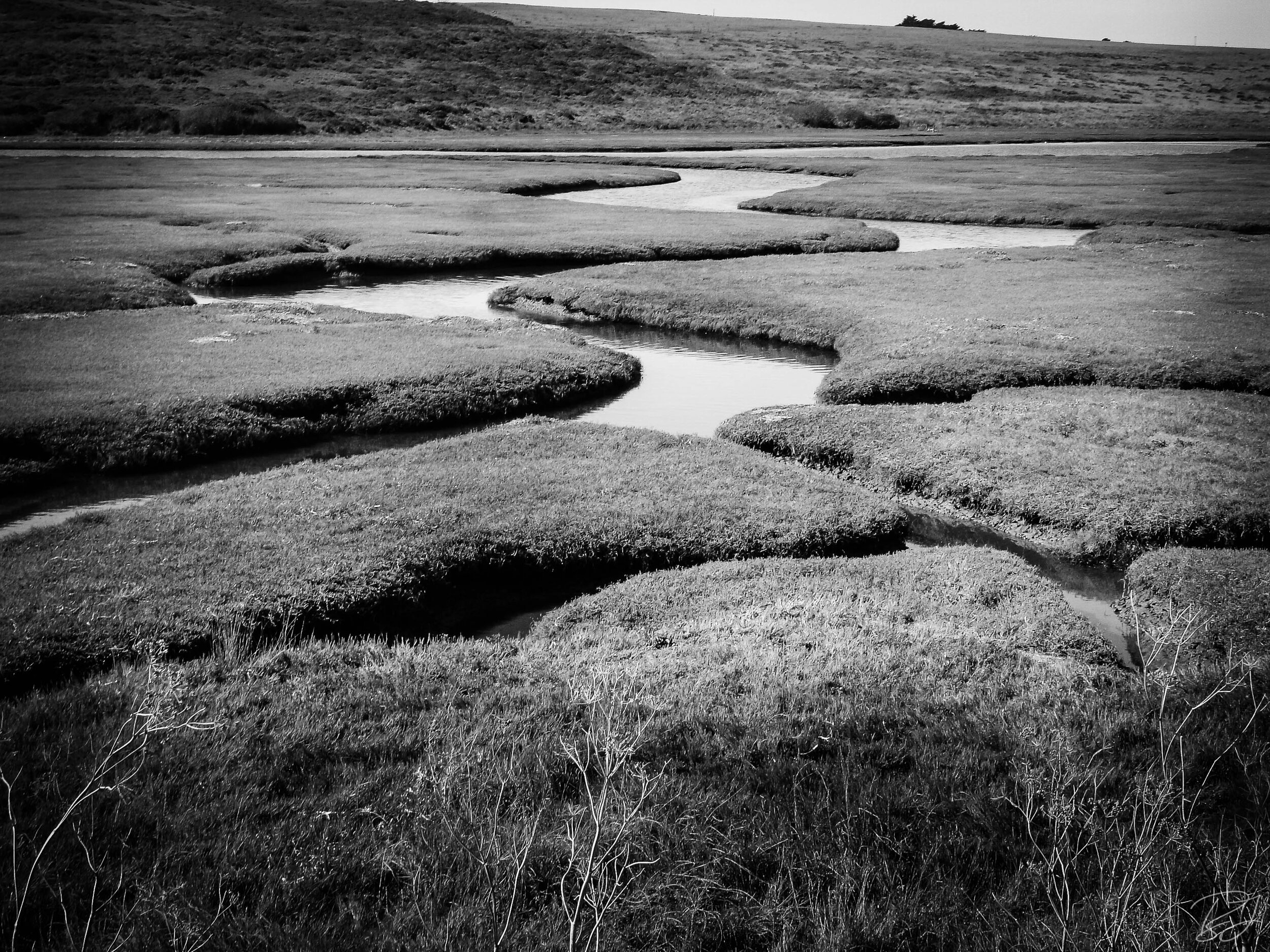 Drakes Bay canals, Point Reyes National Seashore, California.
