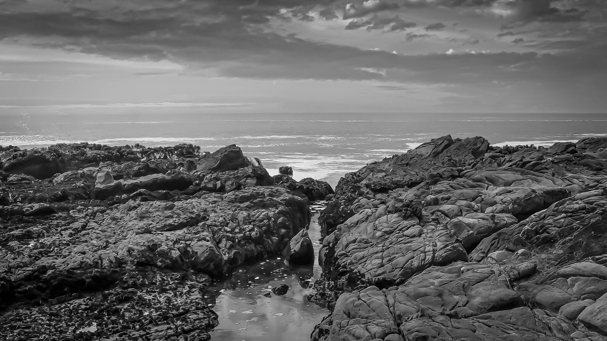 Rocky shore, Fitzgerald Marine Reserve, California.