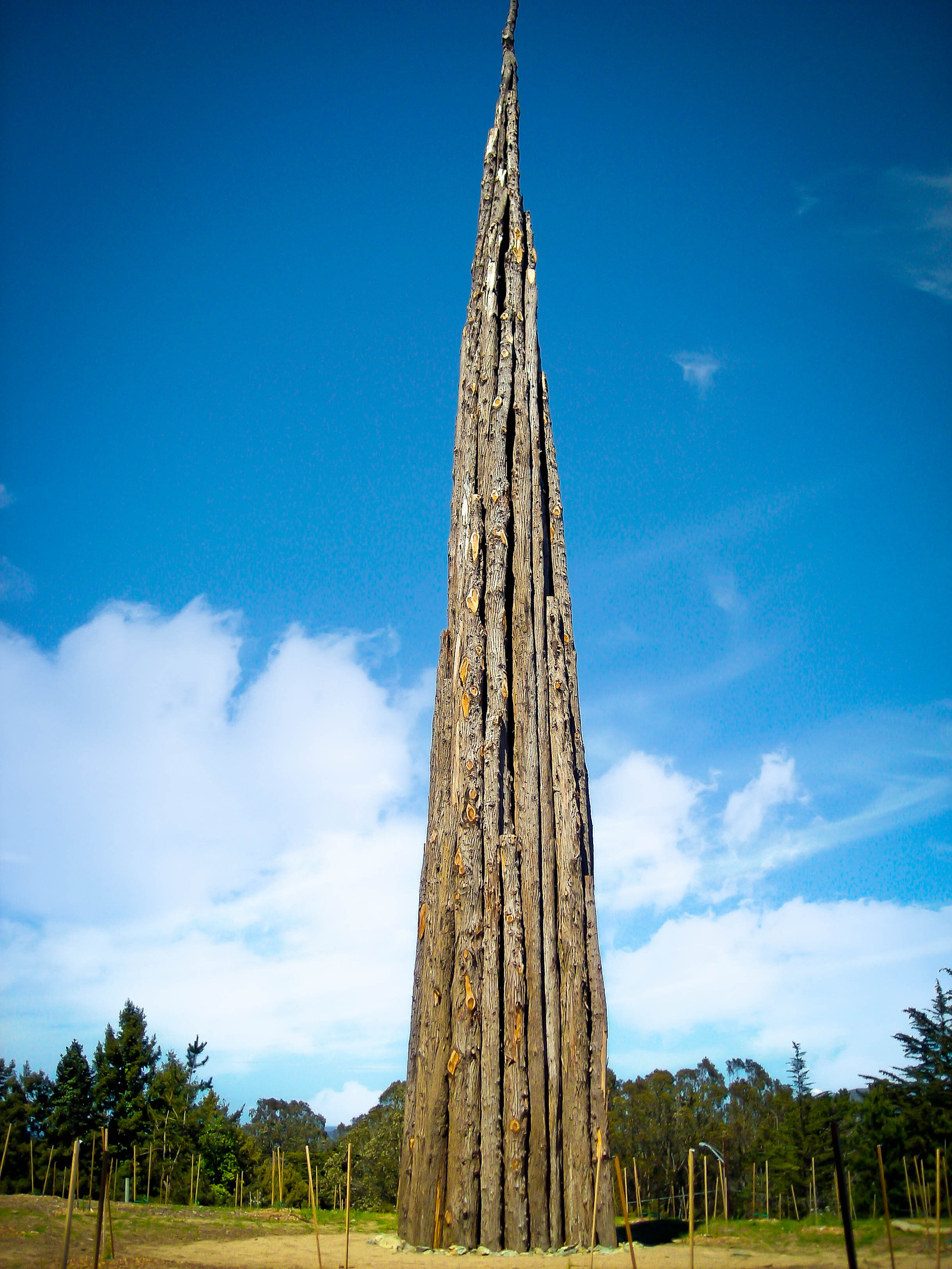 Goldsworthy's Spire sculpture in the Presidio, San Francisco, California.