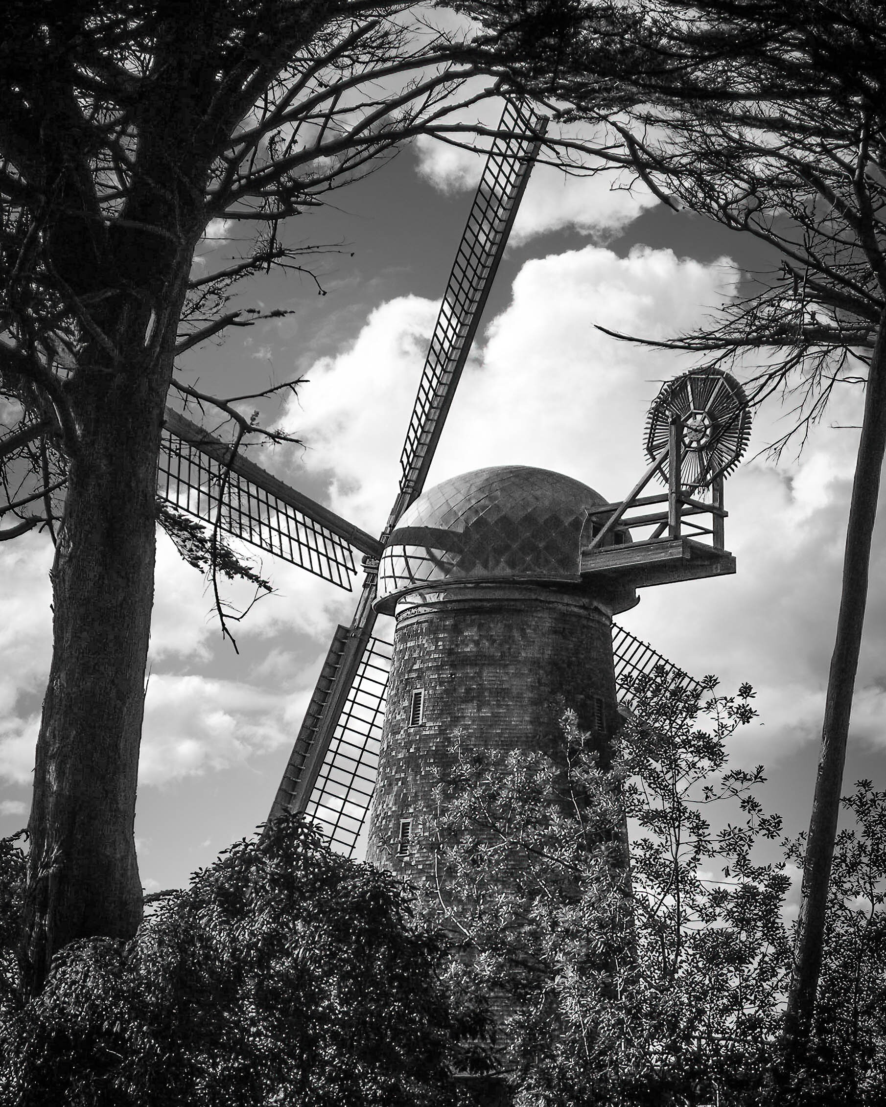 Dutch windmill, Golden Gate Park, San Francisco, California.