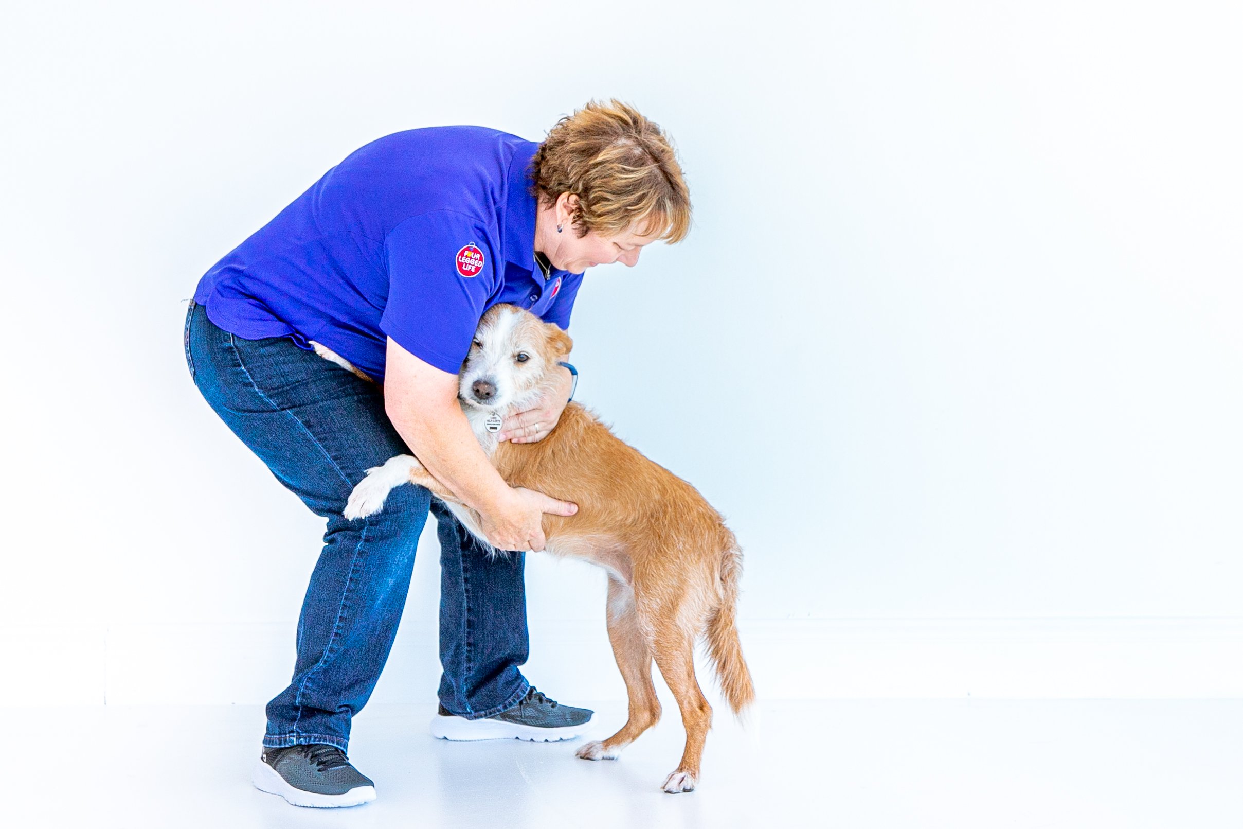 Former Stray Loves Active Life in New Home – American Kennel Club