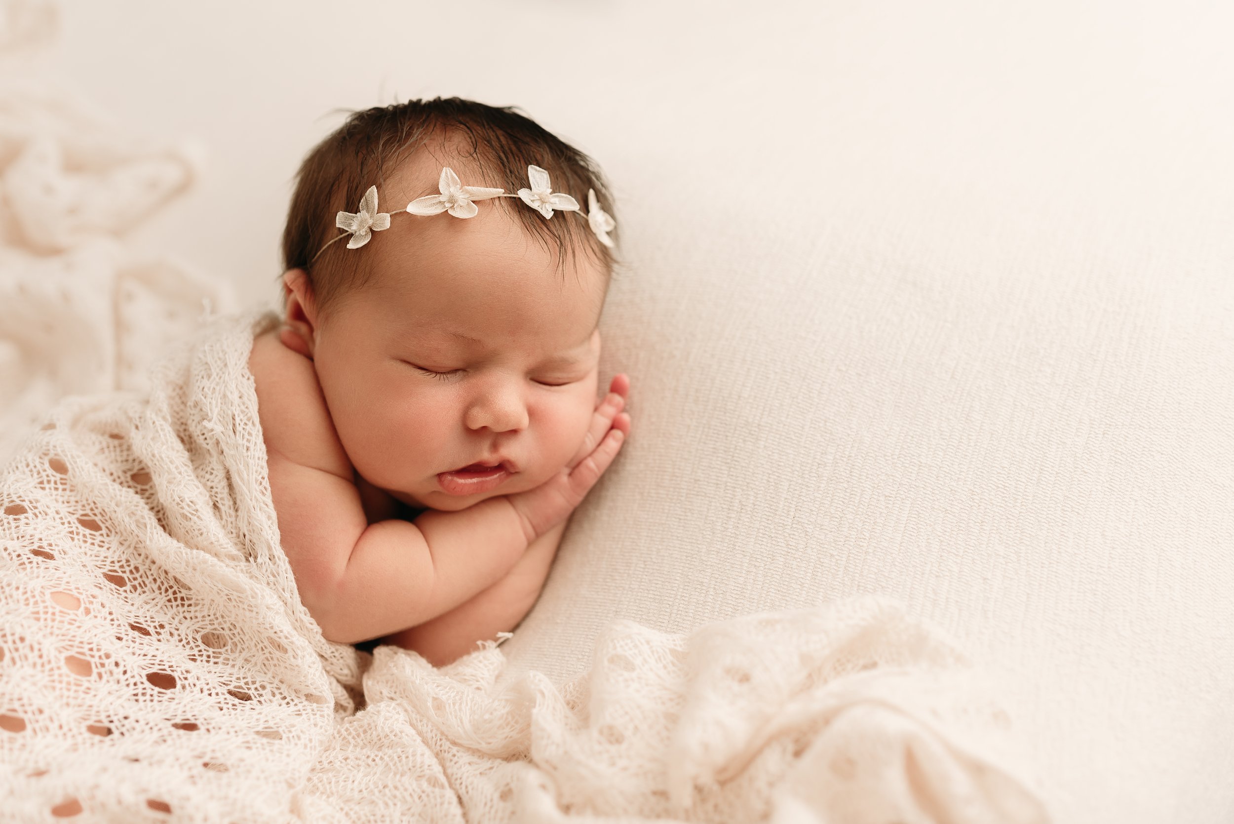 belpre ohio newborn photography