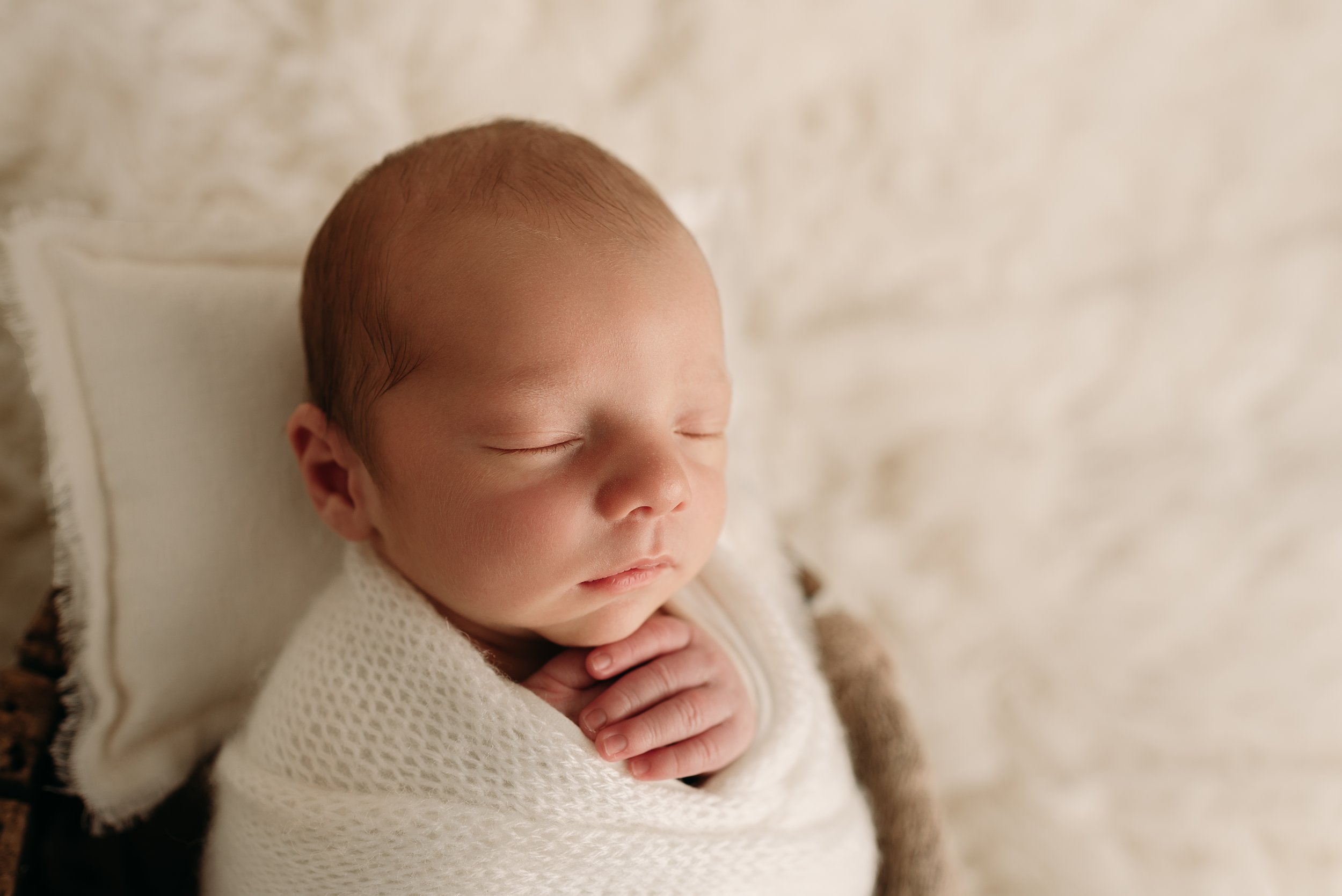 ripley-wv-newborn-photography