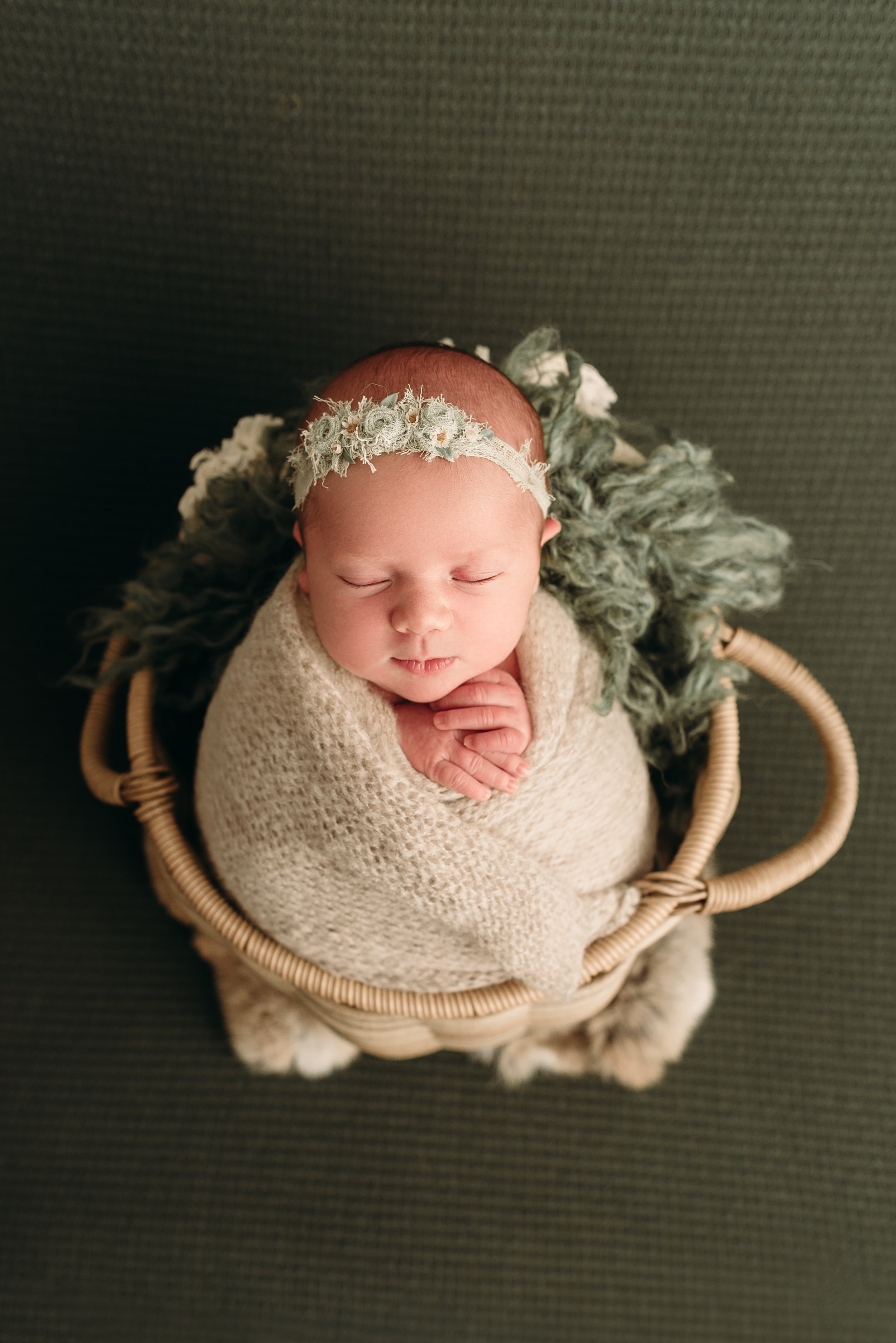 Ripley WV Newborn Photographer | Haley B. Photography