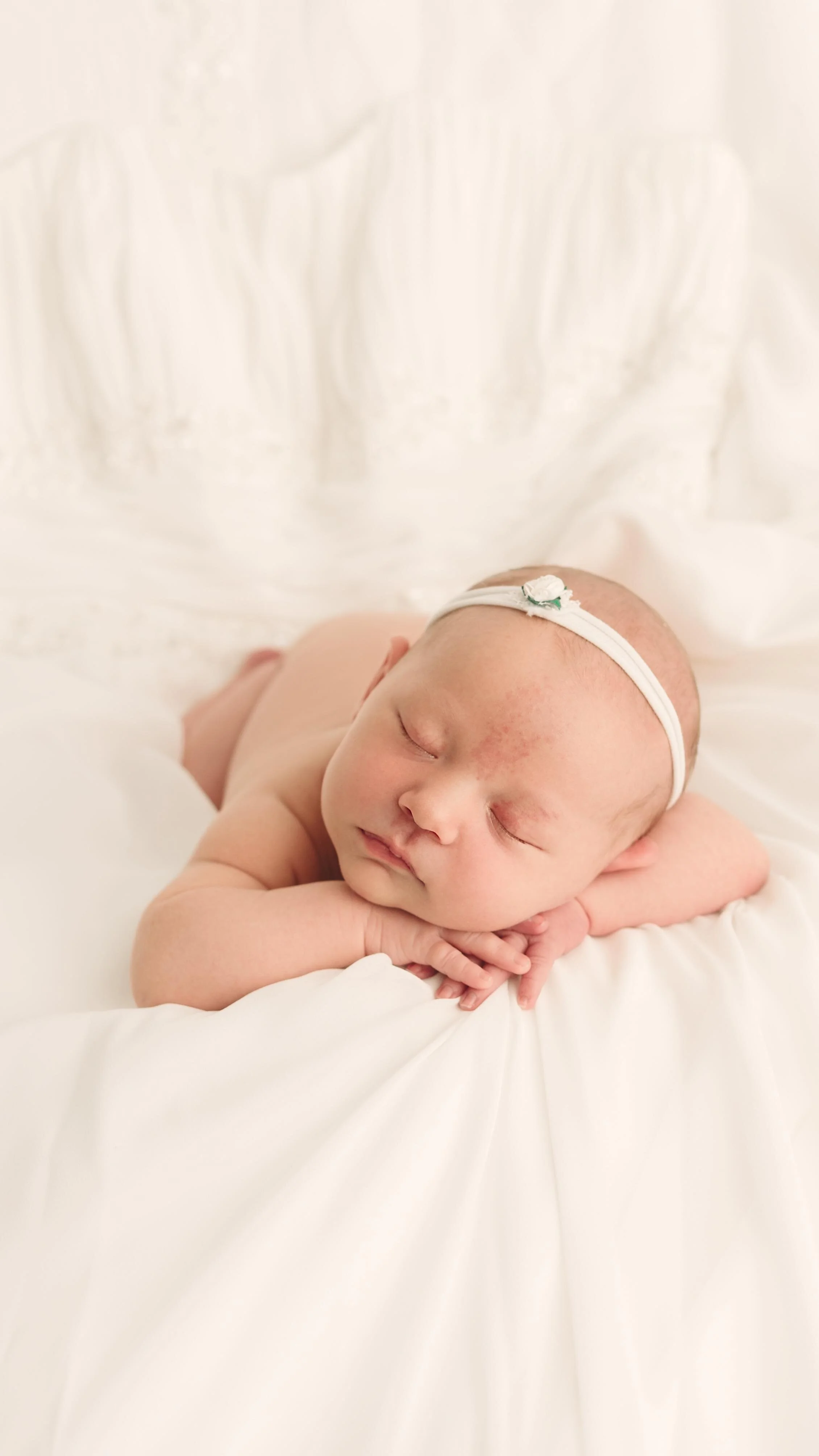 ✨NOW BOOKING LIMITED SPOTS FOR 2023✨
* January - 1 spot
* February - 2 spots
⬇️⬇️⬇️⬇️⬇️⬇️⬇️⬇️⬇️
www.haleybphoto.com
.
.
.
#charlestonwvnewbornphotographer #parkersburgwvnewbornphotographer #huntingtonwvnewbornphotographer #ripleywvnewbornphotogra