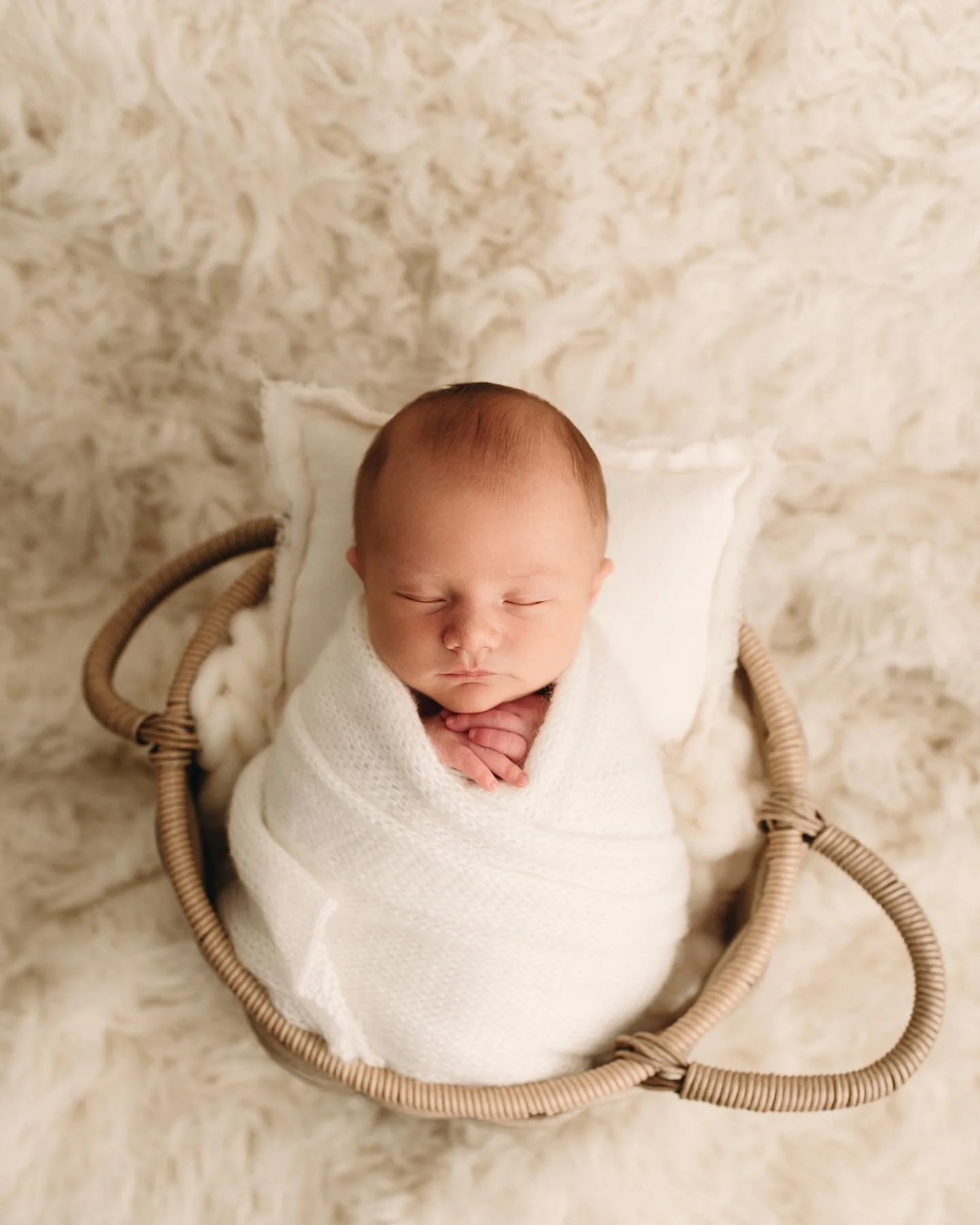 How handsome is he? 😍
✨NOW BOOKING LIMITED SPOTS FOR 2023✨
* January - 1 spot
* February - 2 spots
⬇️⬇️⬇️⬇️⬇️⬇️⬇️⬇️⬇️
www.haleybphoto.com
.
.
.
#charlestonwvnewbornphotographer #parkersburgwvnewbornphotographer #huntingtonwvnewbornphotographer