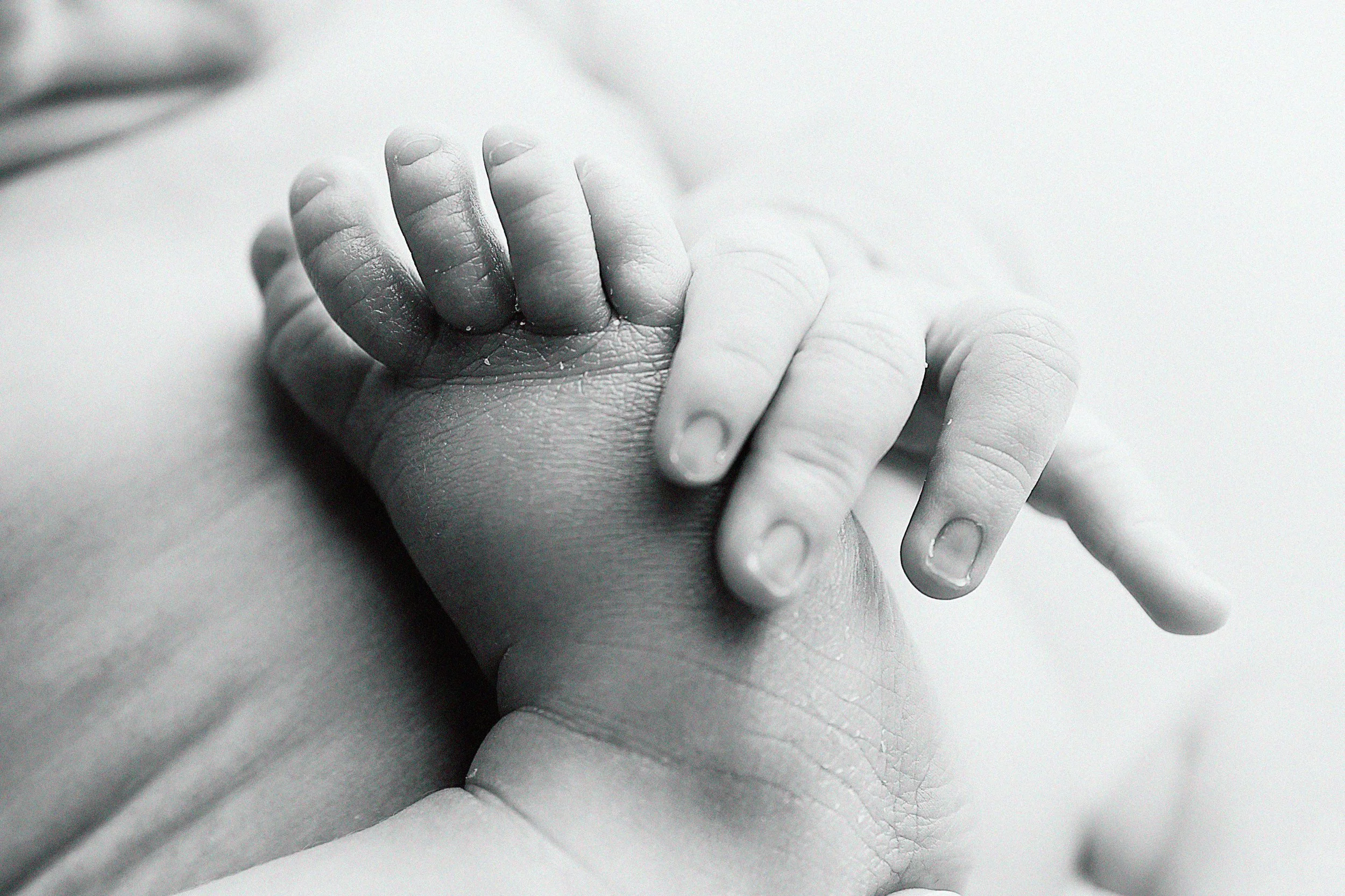 newborn photographer huntington wv