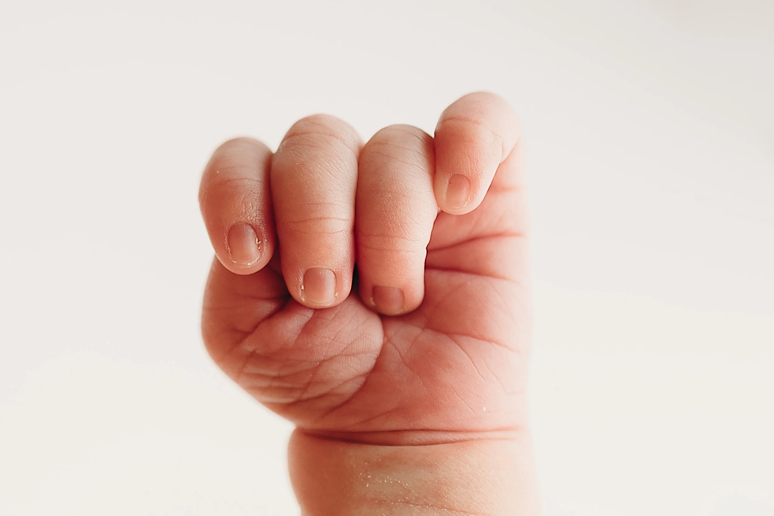 parkersburg-wv-newborn-photographer