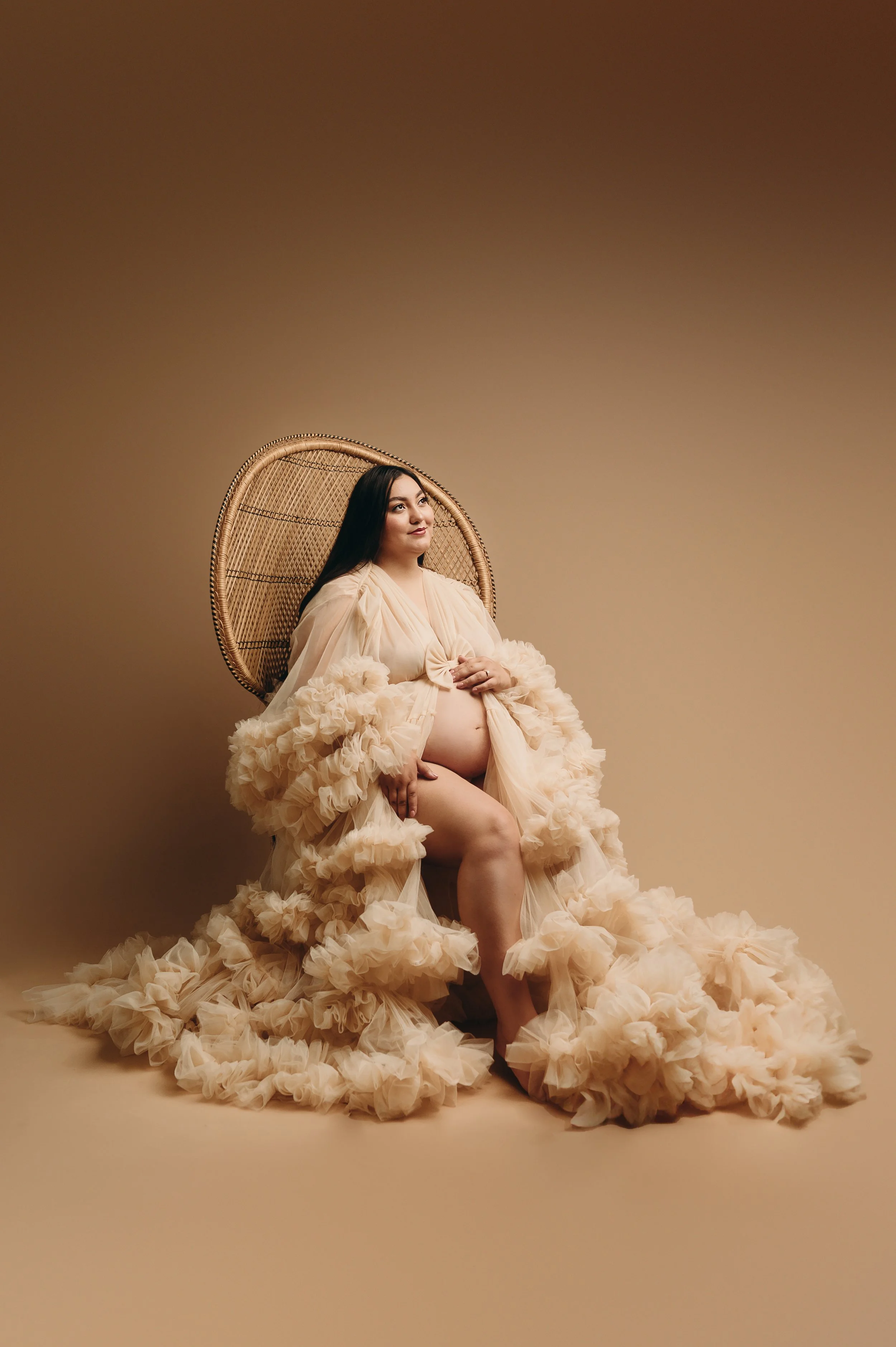 Beckley WV Maternity Photographer
Huntington WV Maternity Photographer
Charleston WV Maternity Photographer