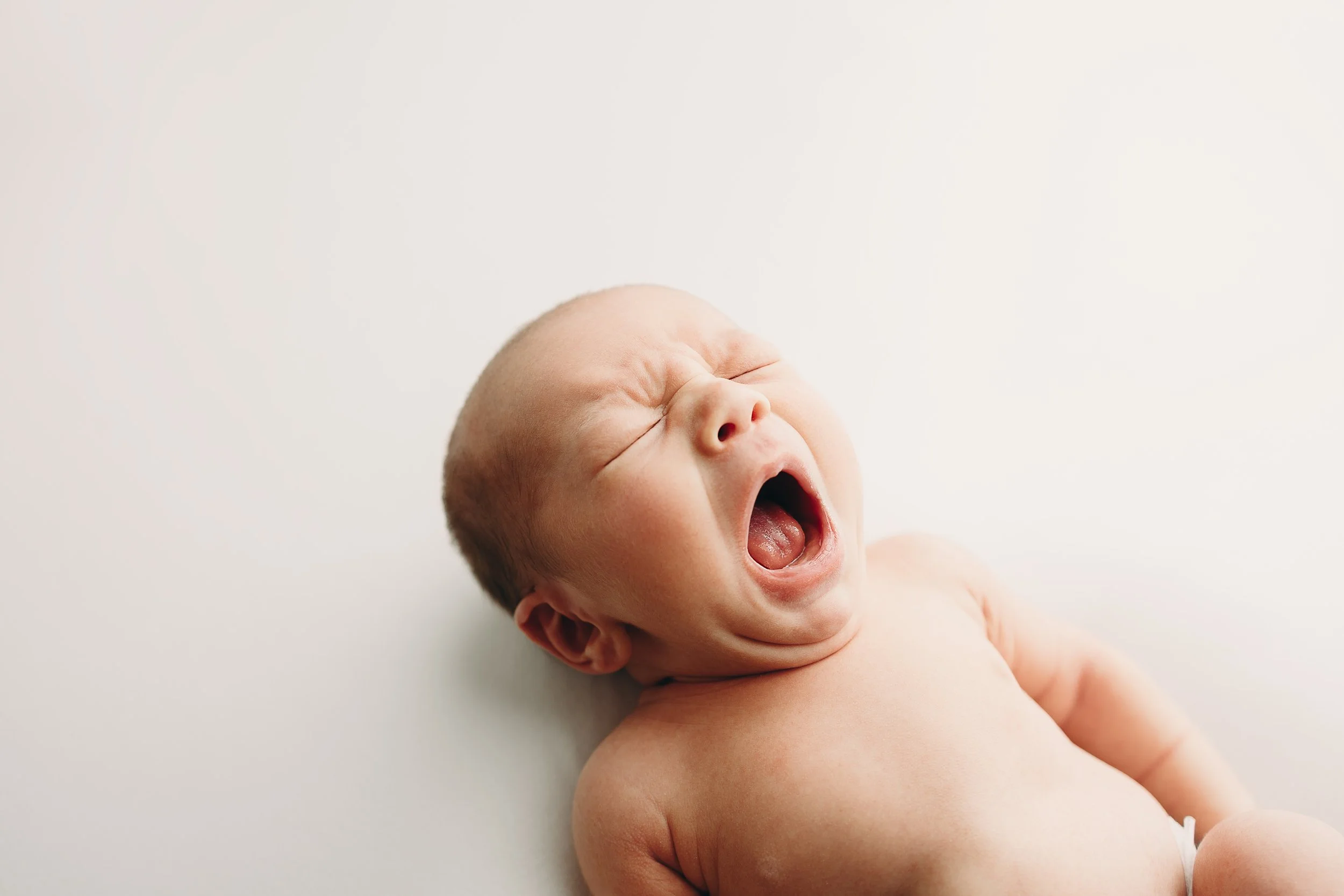 Charleston newborn photographer
wv newborn photographer
huntington wv newborn photographer
