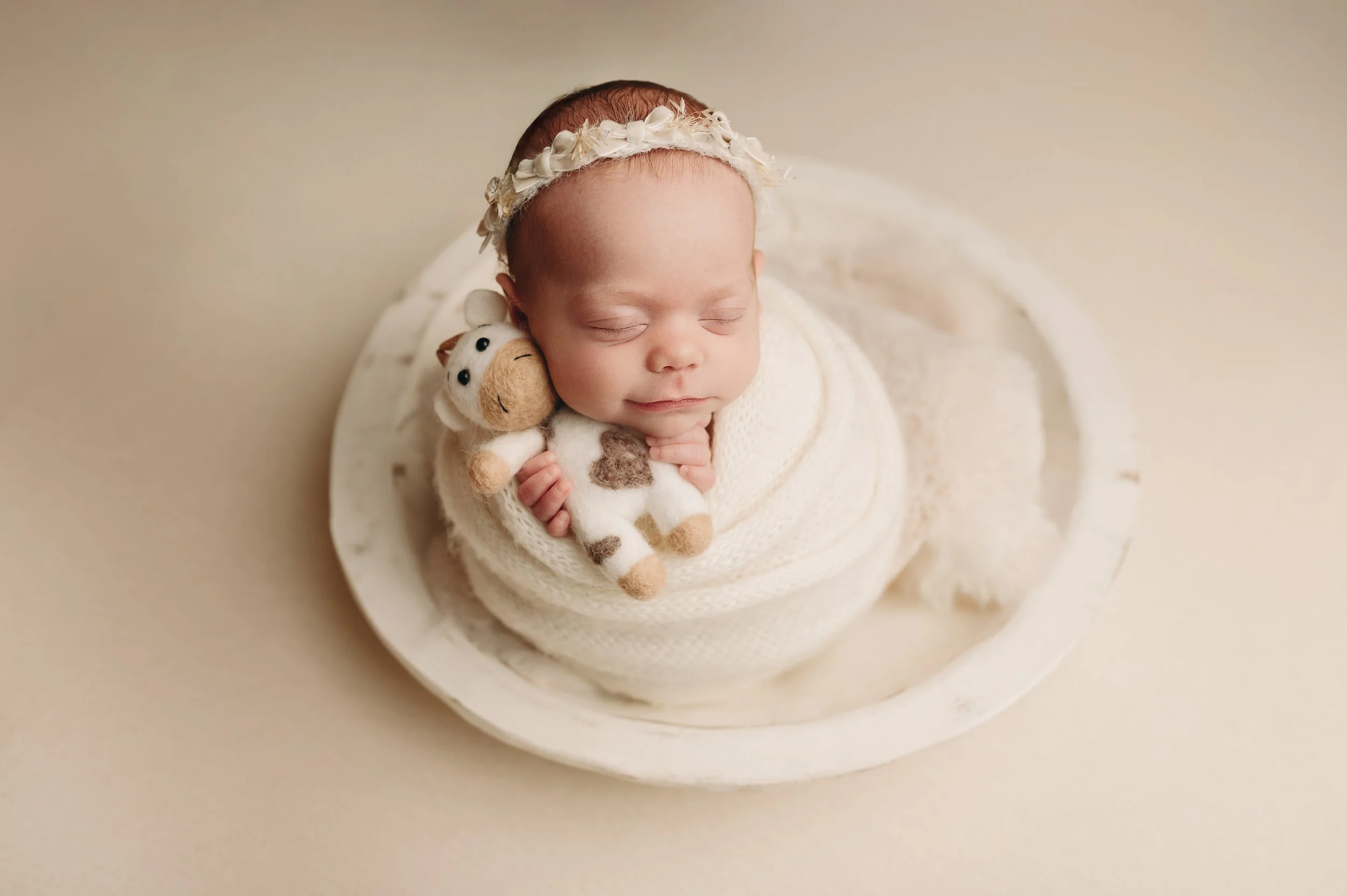 huntington wv newborn photography