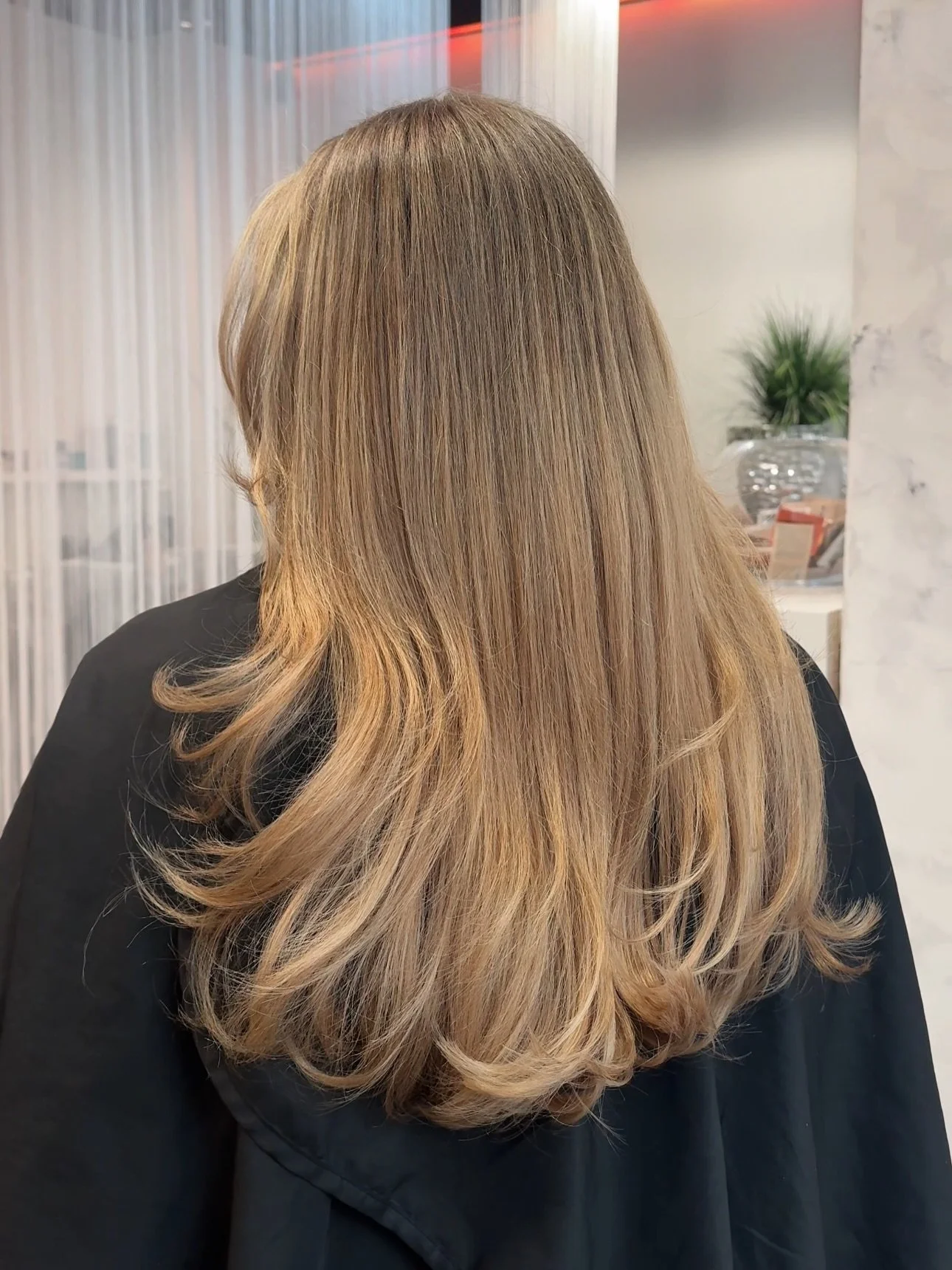 Braun gef&auml;rbt zu Blond 🧴🫧