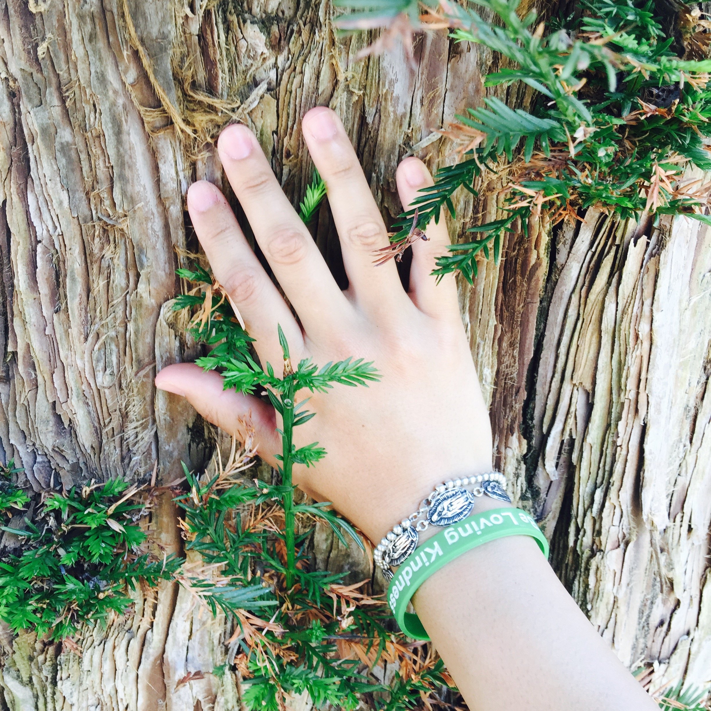 A person's hand touching a weathered tree trunk with green leafy plants around it, wearing a silver bracelet and a green wristband with white text.