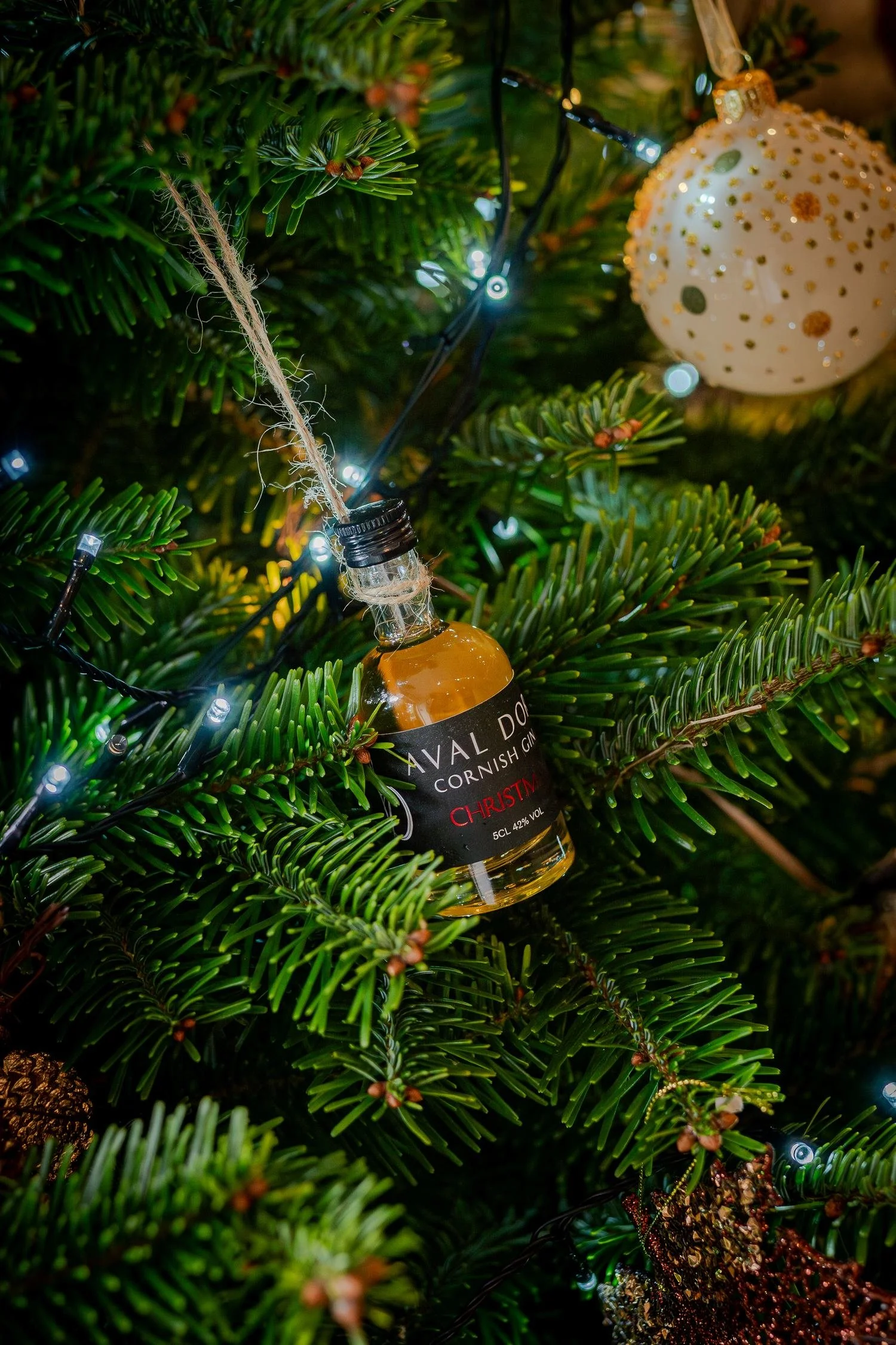 ColwithChristmas-73.jpg