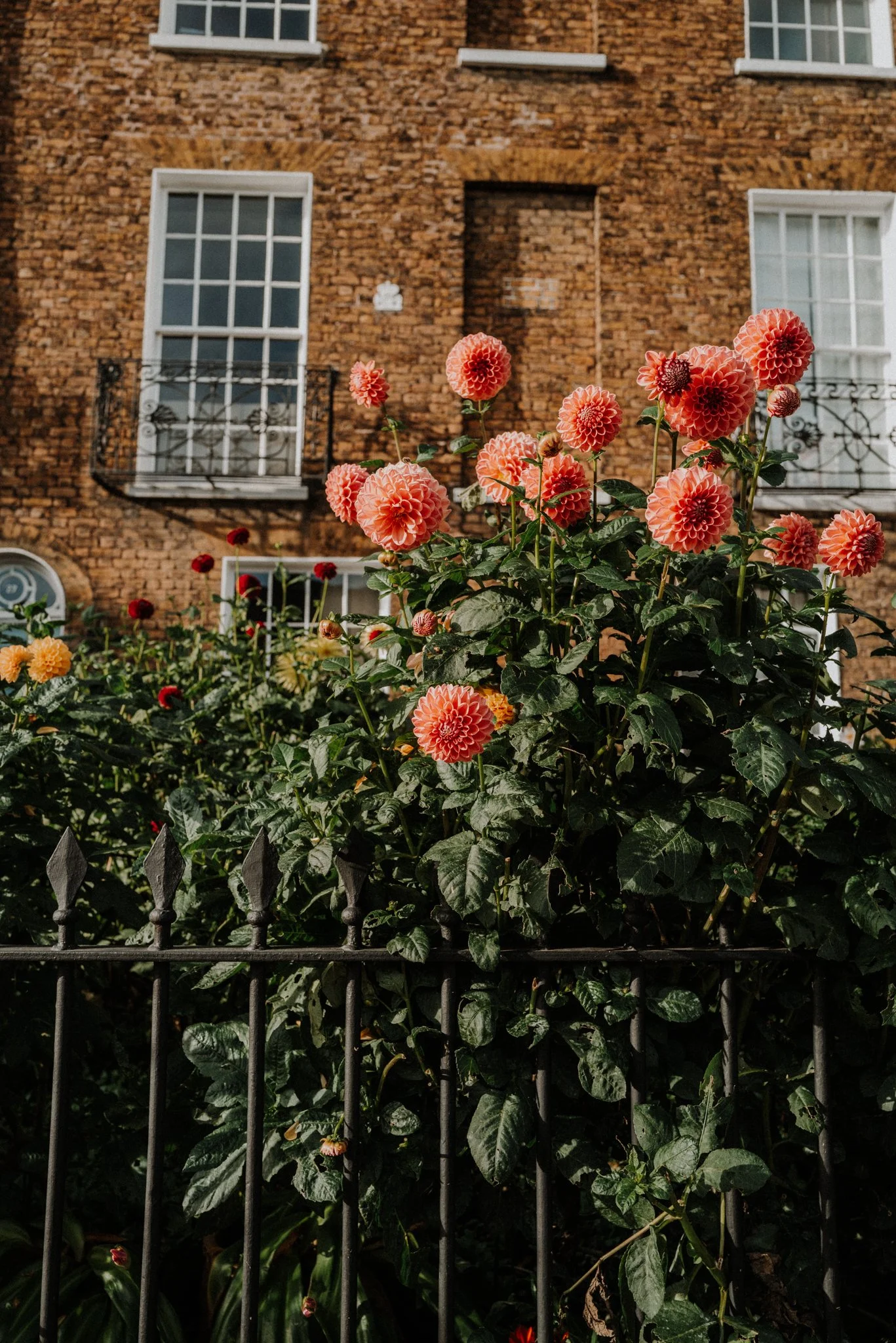 London-Hampstead-Shop-Travel-Eat-23.jpg