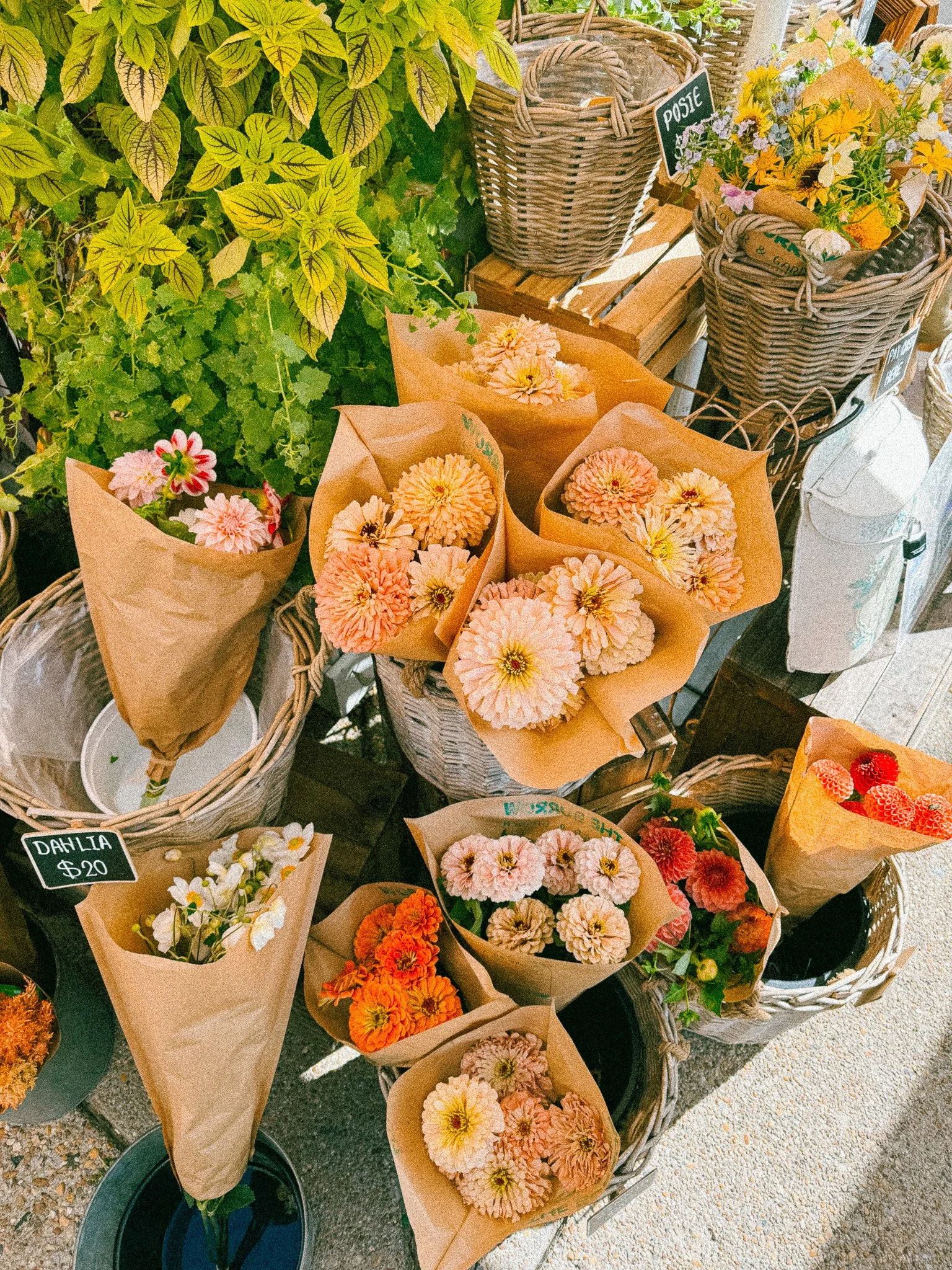 Flower popup at Goosecup
