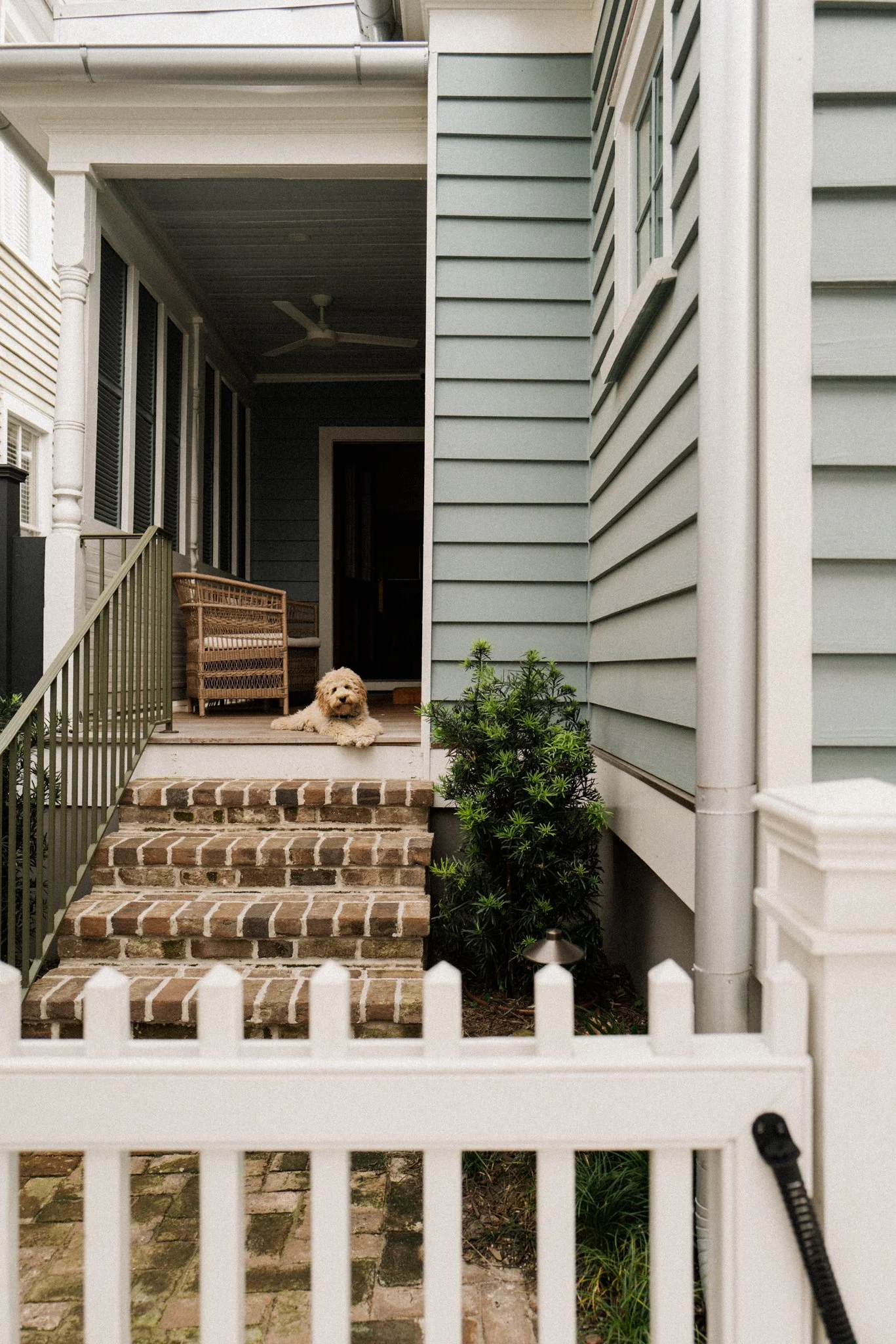 charleston-travel-design-recommendations-7.jpg