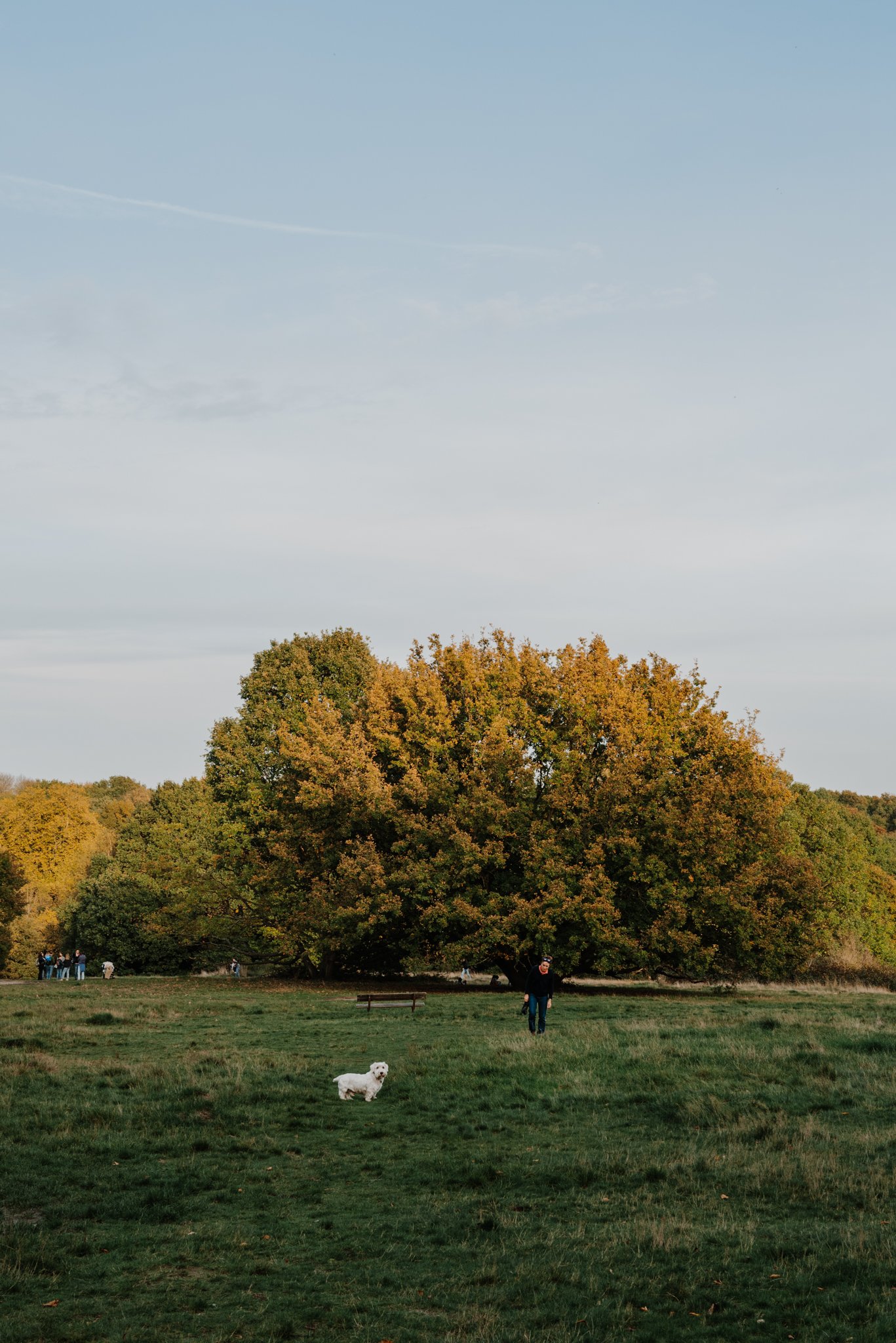 London-Hampstead-Shop-Travel-Eat-80.jpg