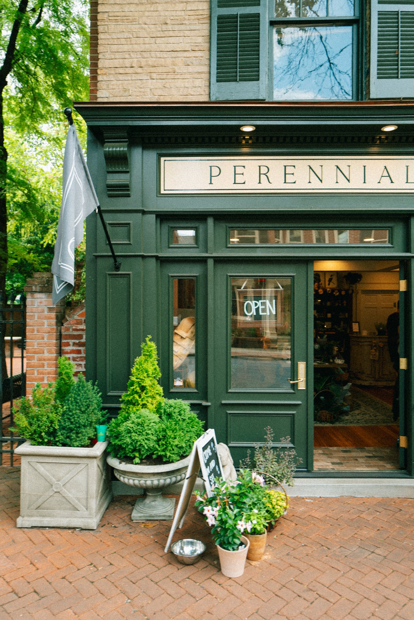 Perennial