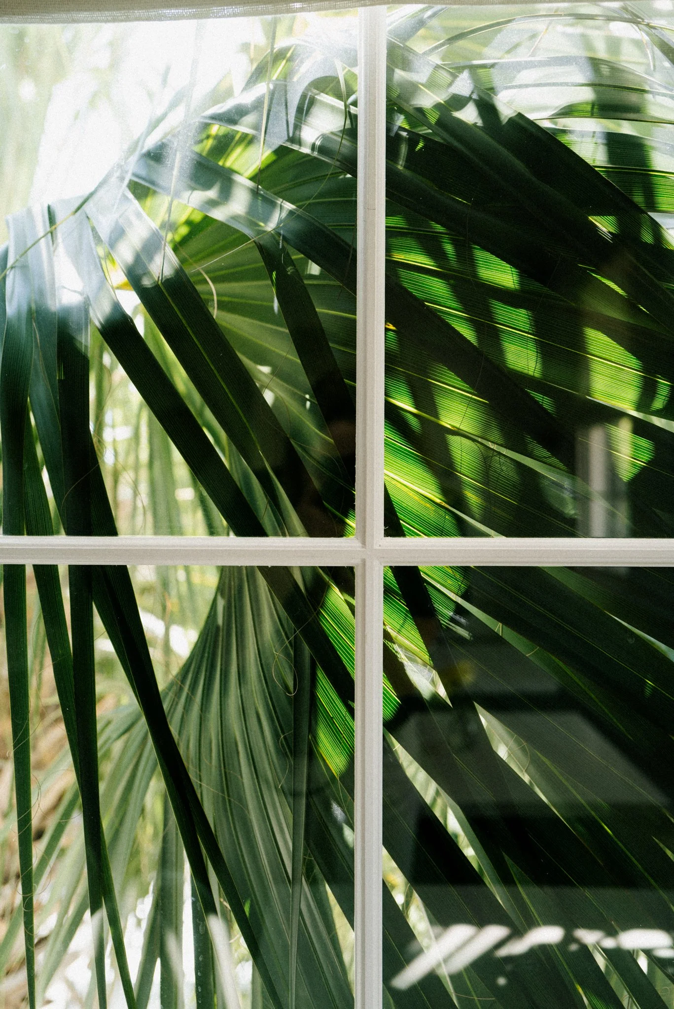 charleston-travel-design-recommendations-81.jpg