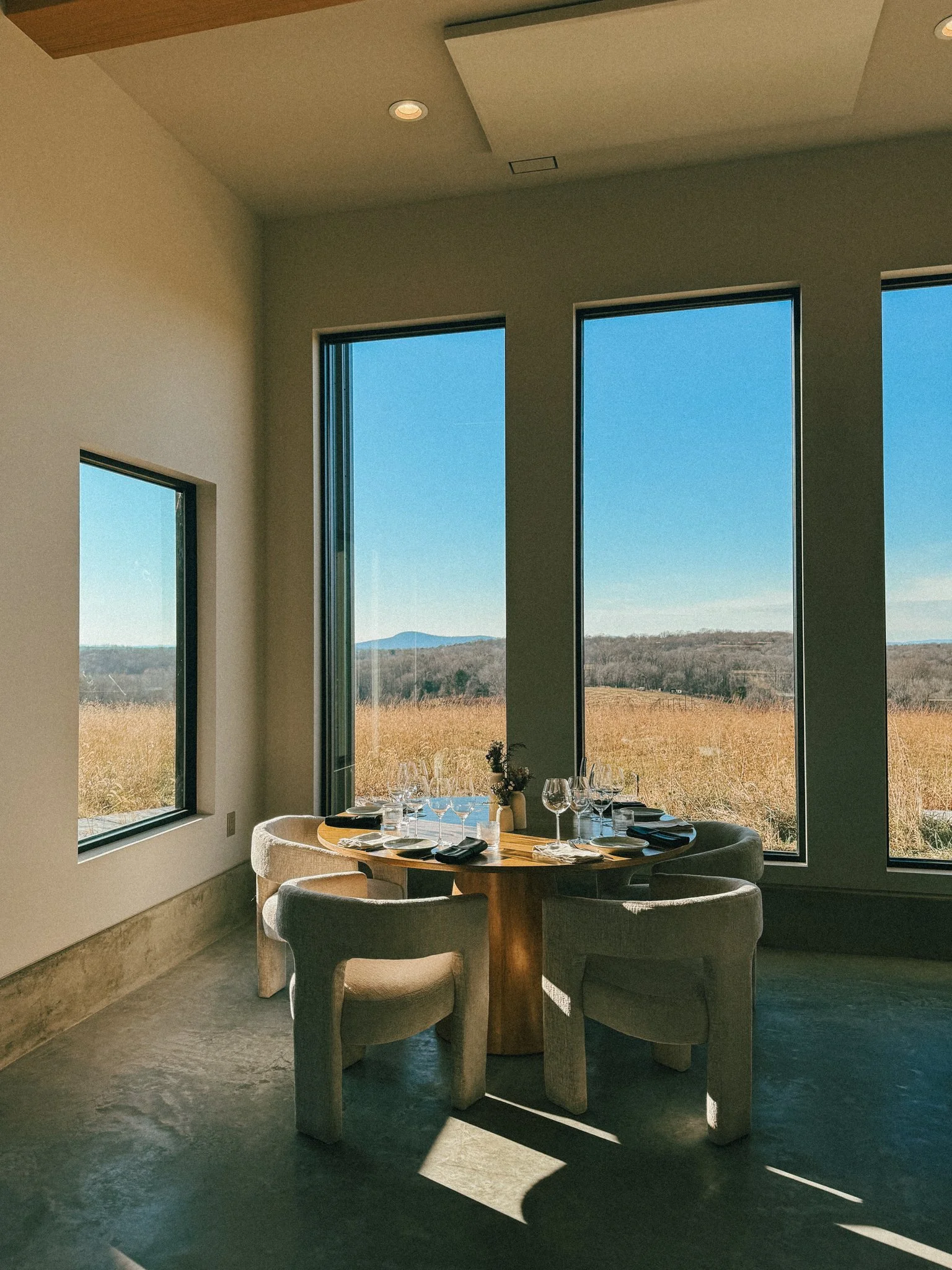 burnt-hill-maryland-vineyard-2.jpg