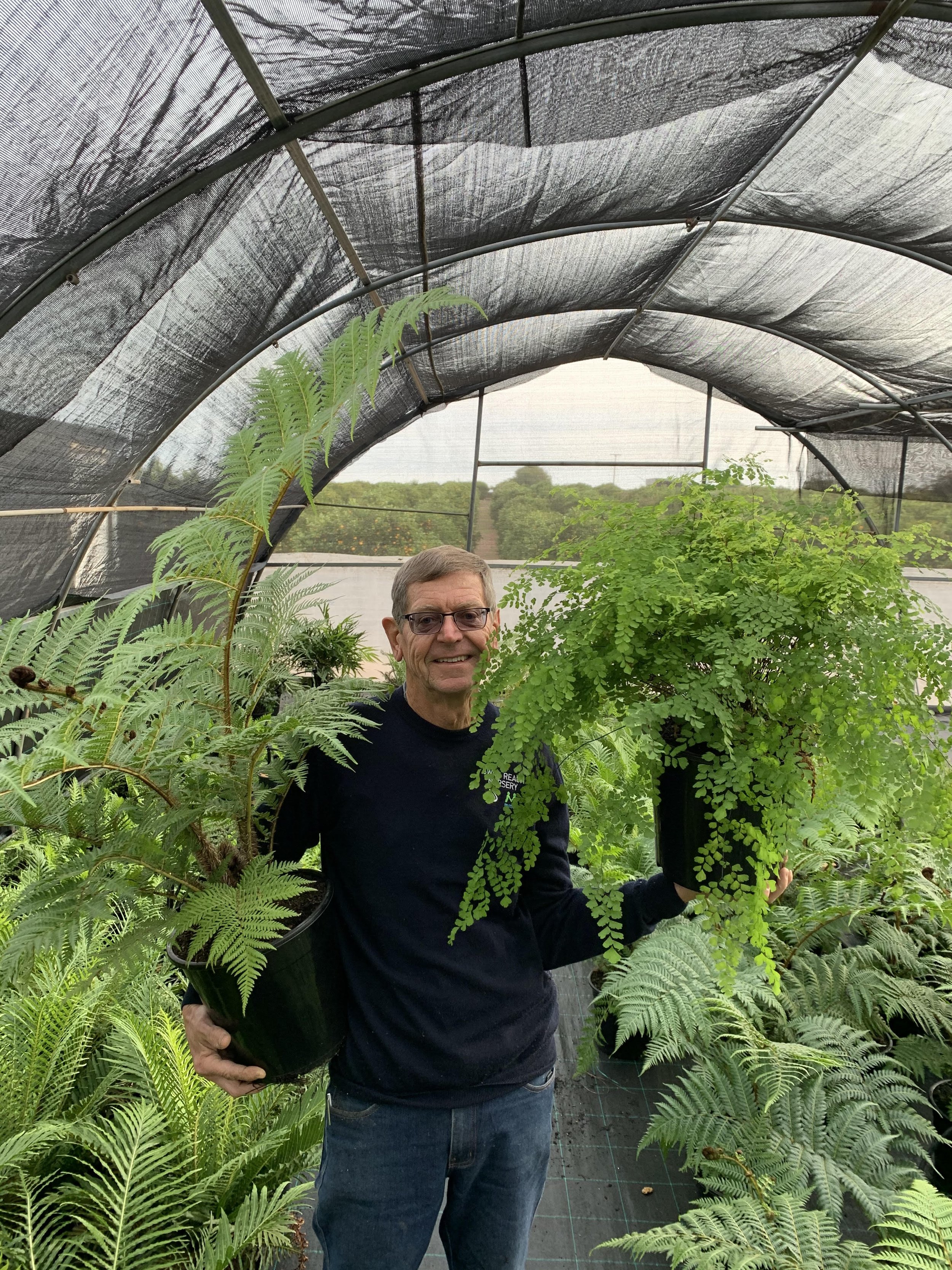 maiden tree fern 250521.jpg