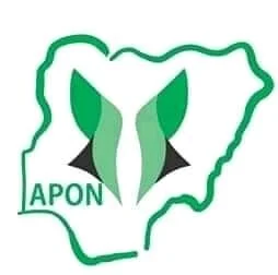 FB_IMG_16244537746495048 - Joseph Odika.jpg