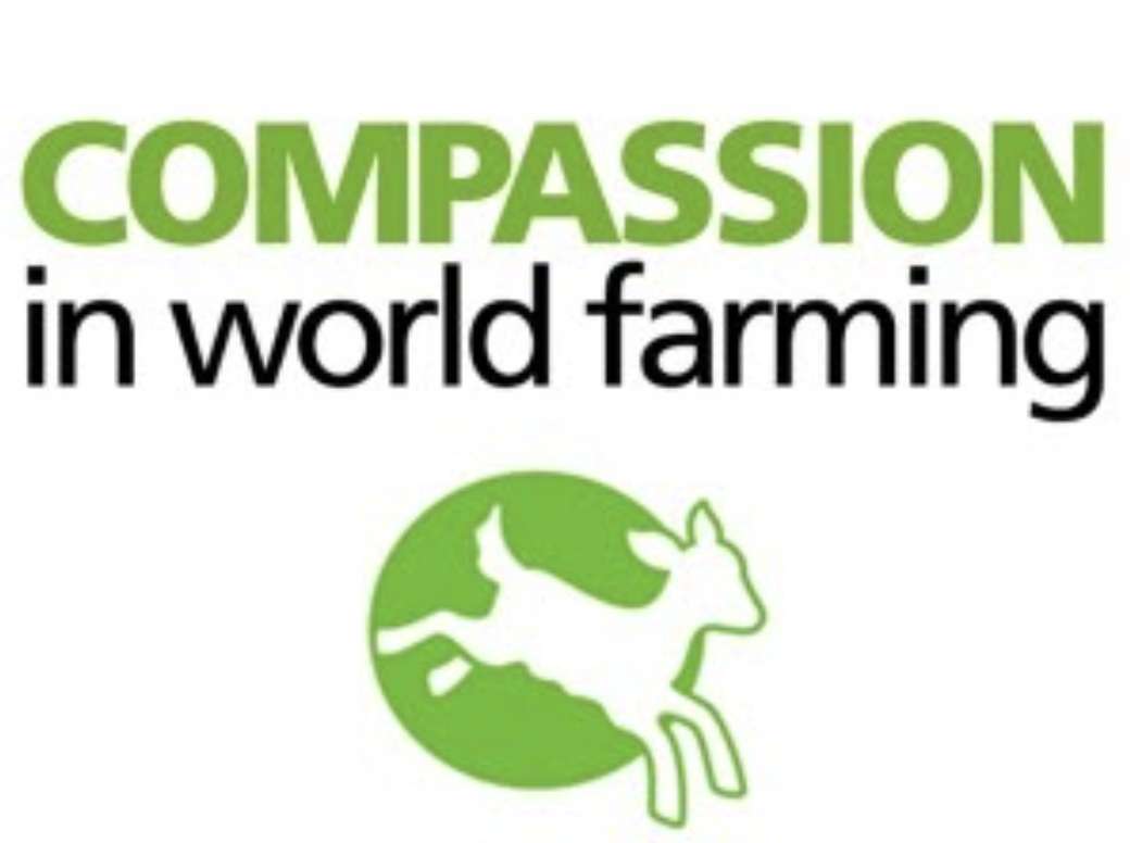 Screenshot 2021-04-09 at 20.27.09.png