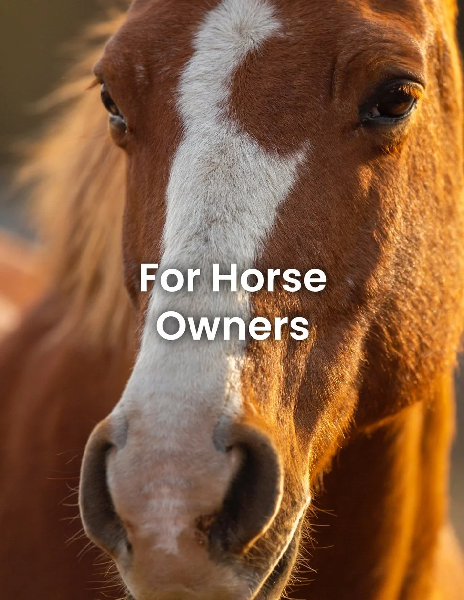 ForHorseOwners.jpg
