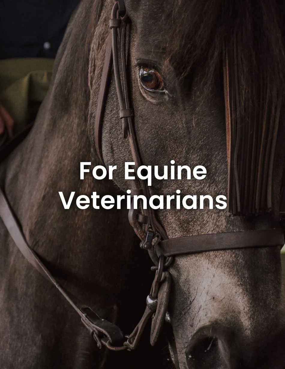 ForEquineVeterinarians.jpg