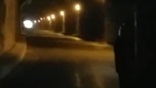 Stargate in the Jungle.jpeg