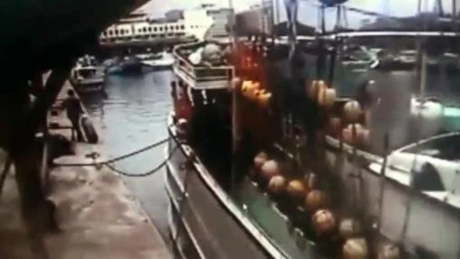 The Skinwalker Awakens.jpeg