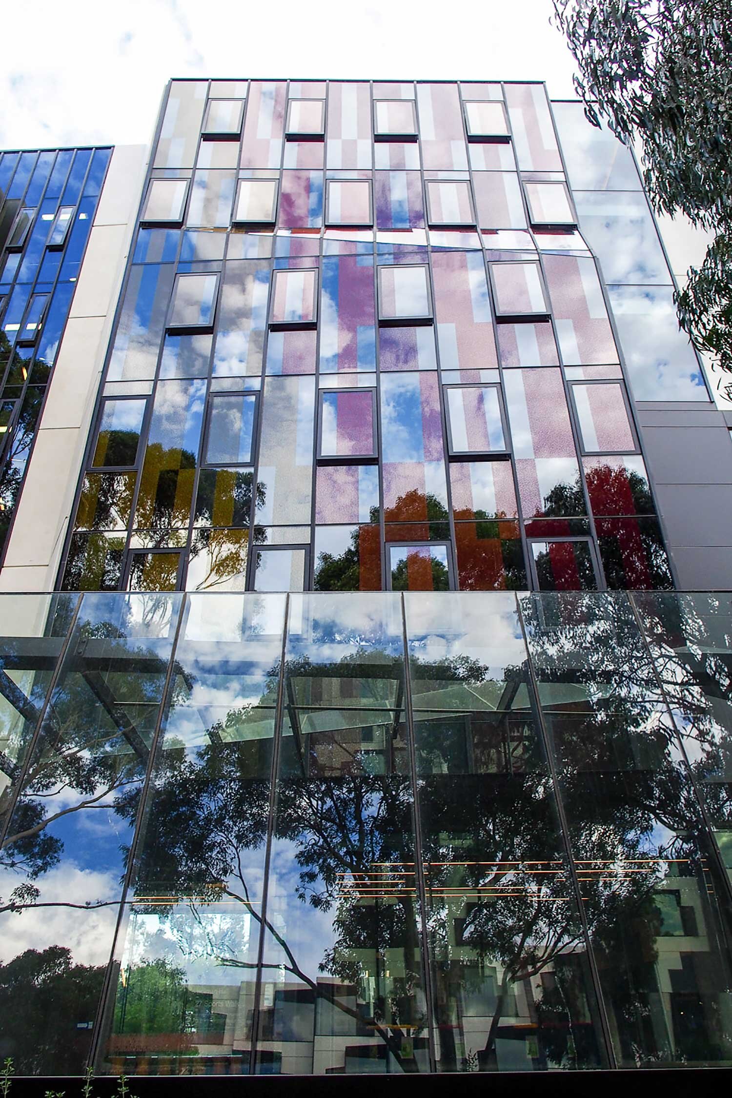 10-custom-vision-effex-print-glazing-06.jpg