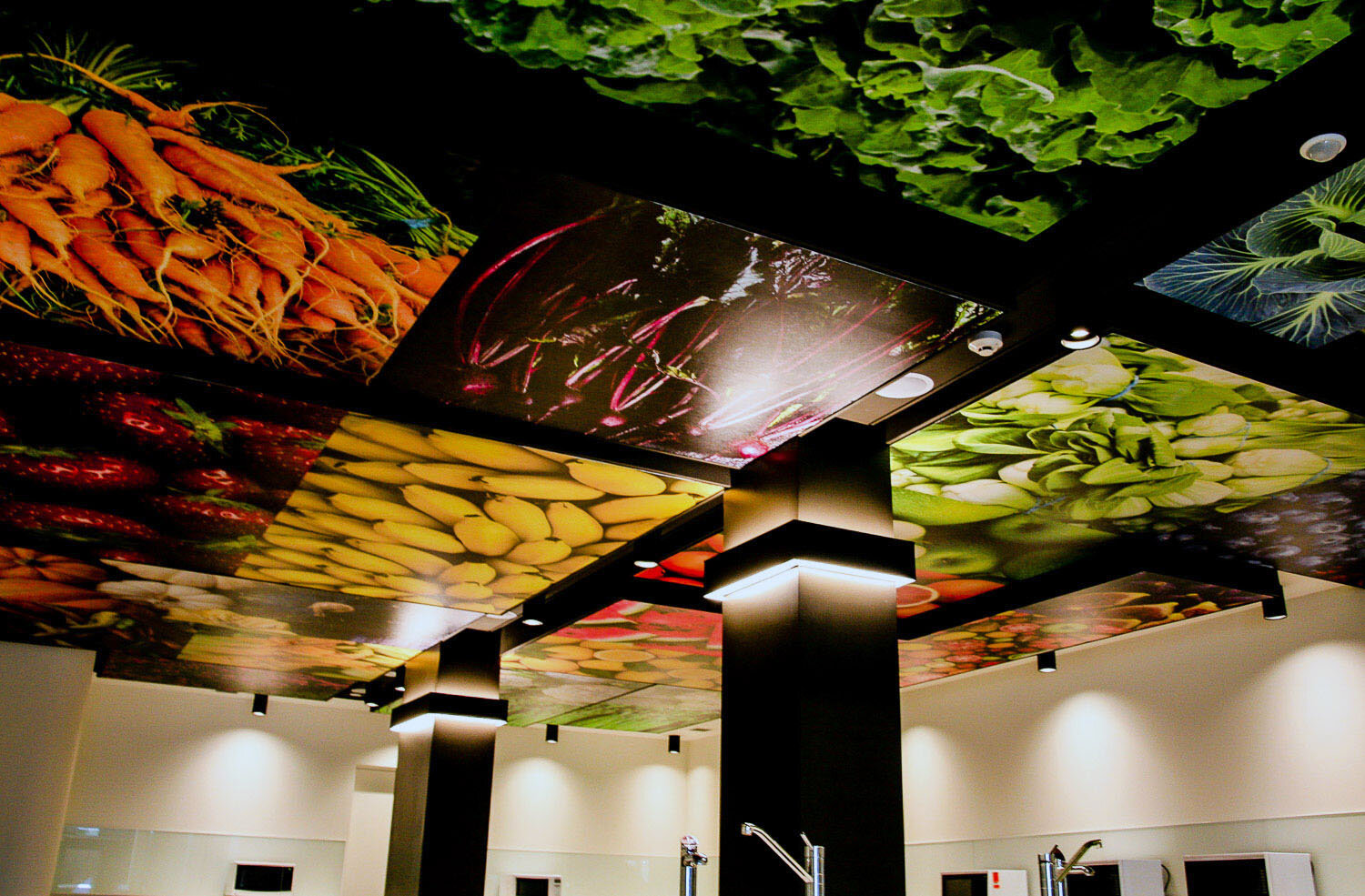 23-custom-vision-effex-ceiling-graphics-04.jpg