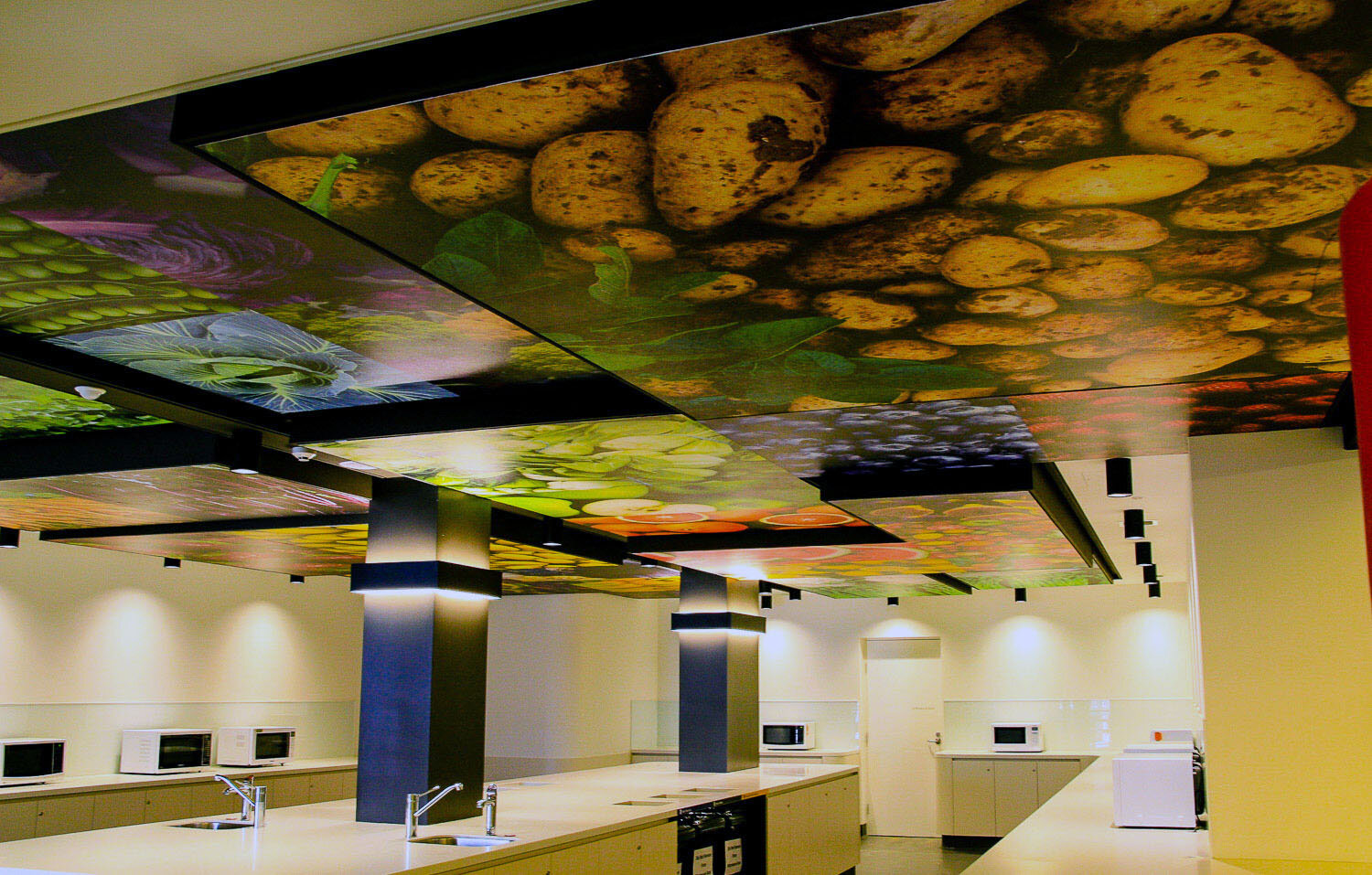 24-custom-vision-effex-ceiling-graphics-03.jpg