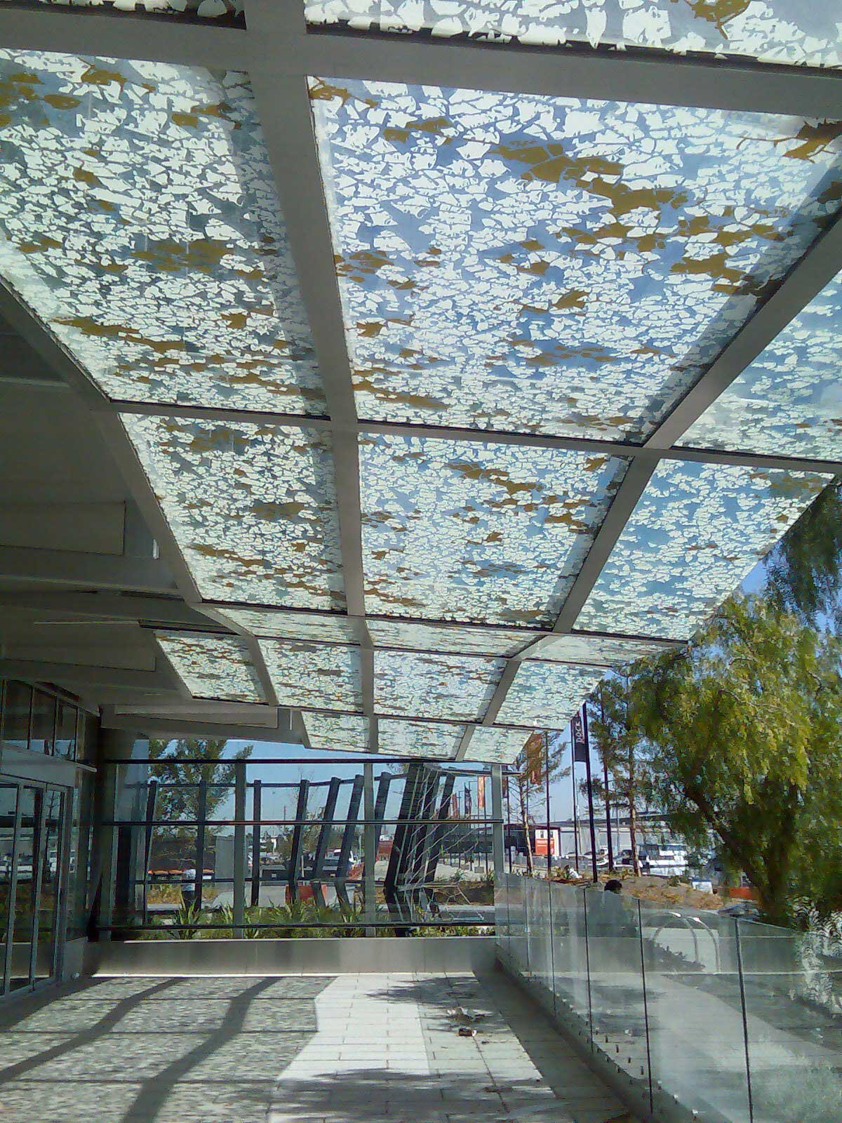 41-custom-vision-effex-canopy-graphics-05.jpg