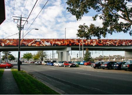 47-custom-vision-effex-bridge-graphics-02.jpg