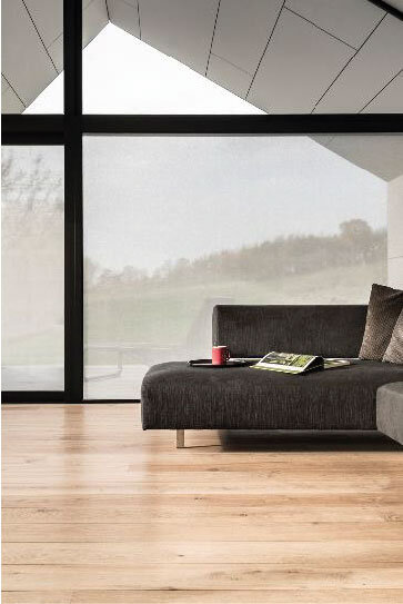 sqid-window-film-tint-design-11.jpg